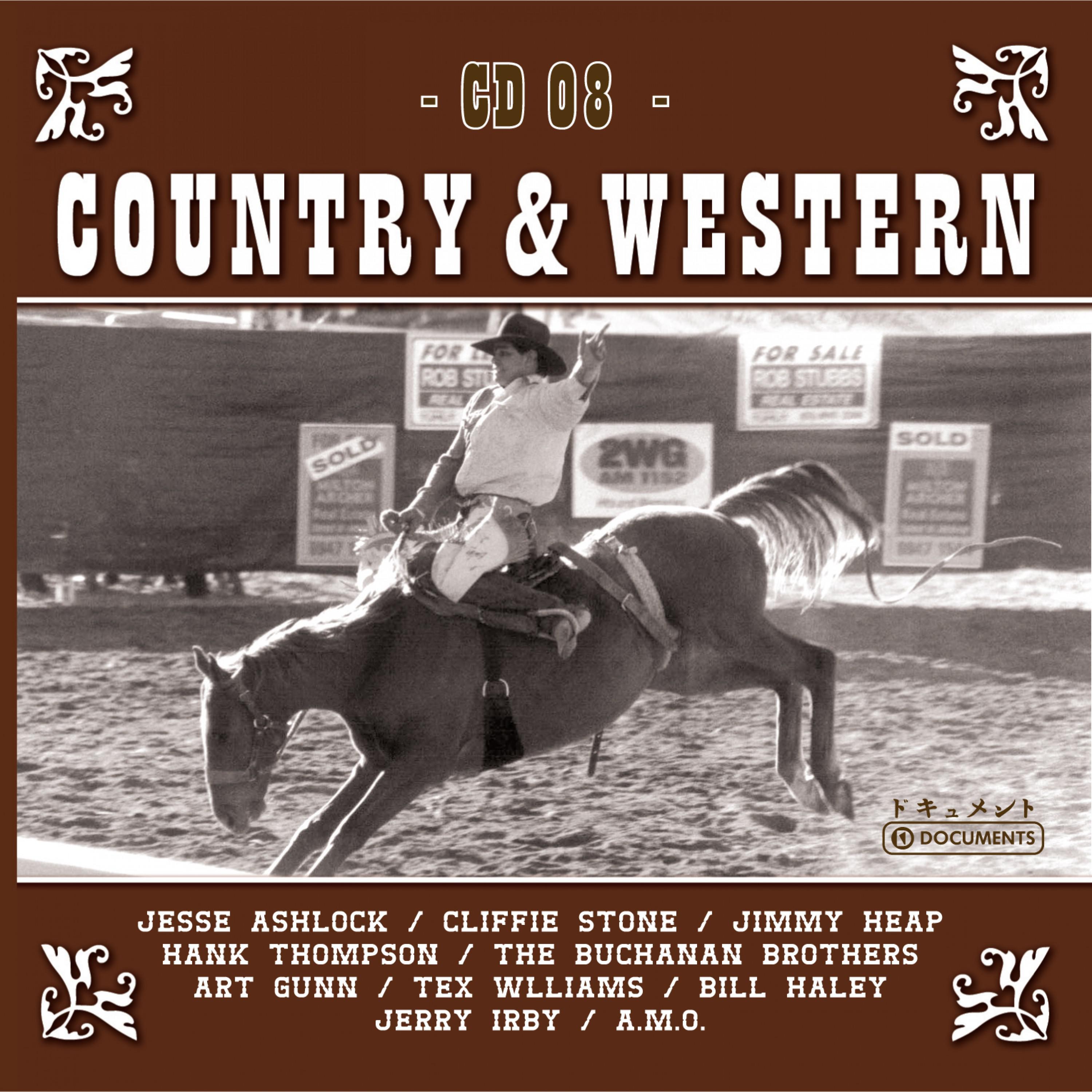 Country Hits Vol. 8