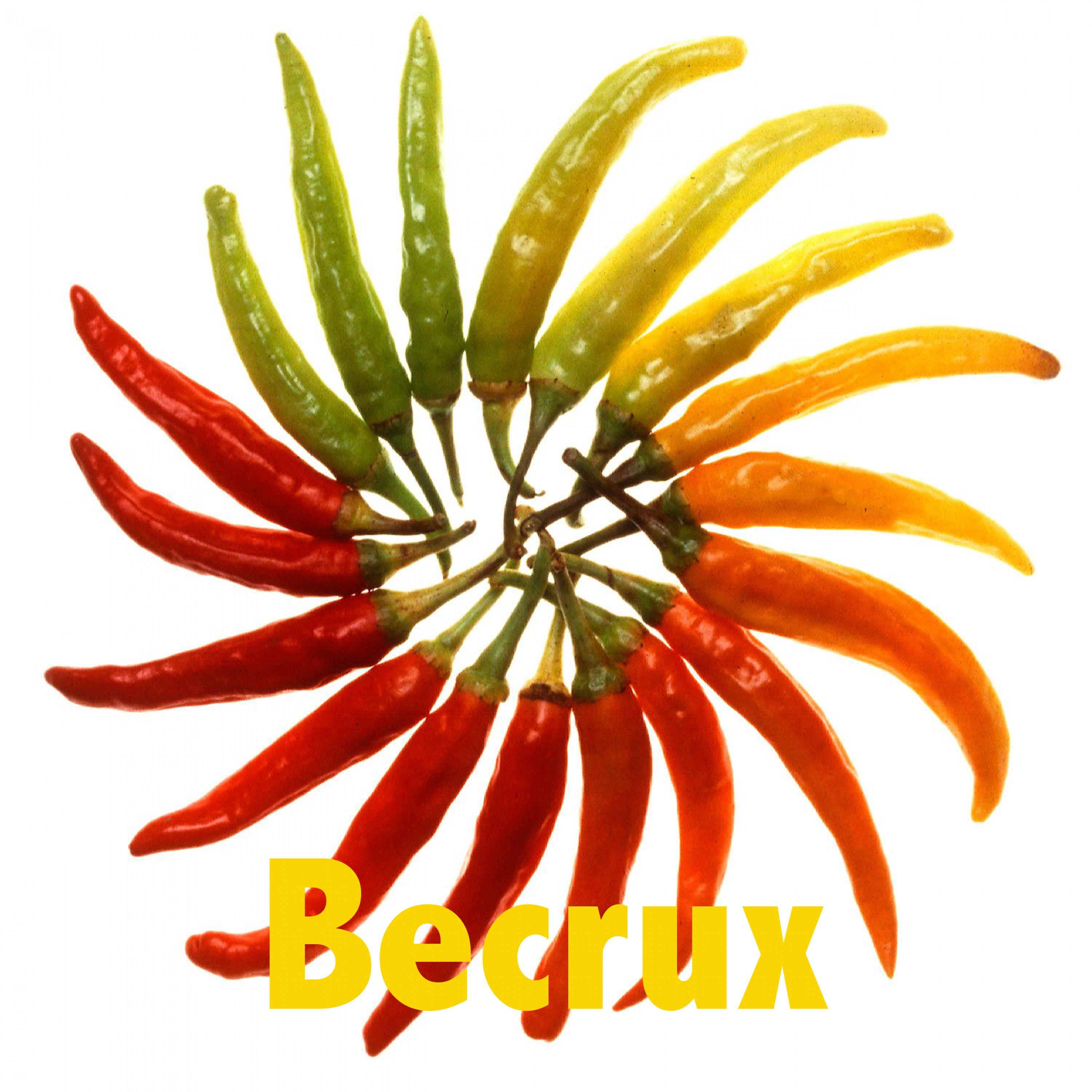 Two Less Lonely People in the World