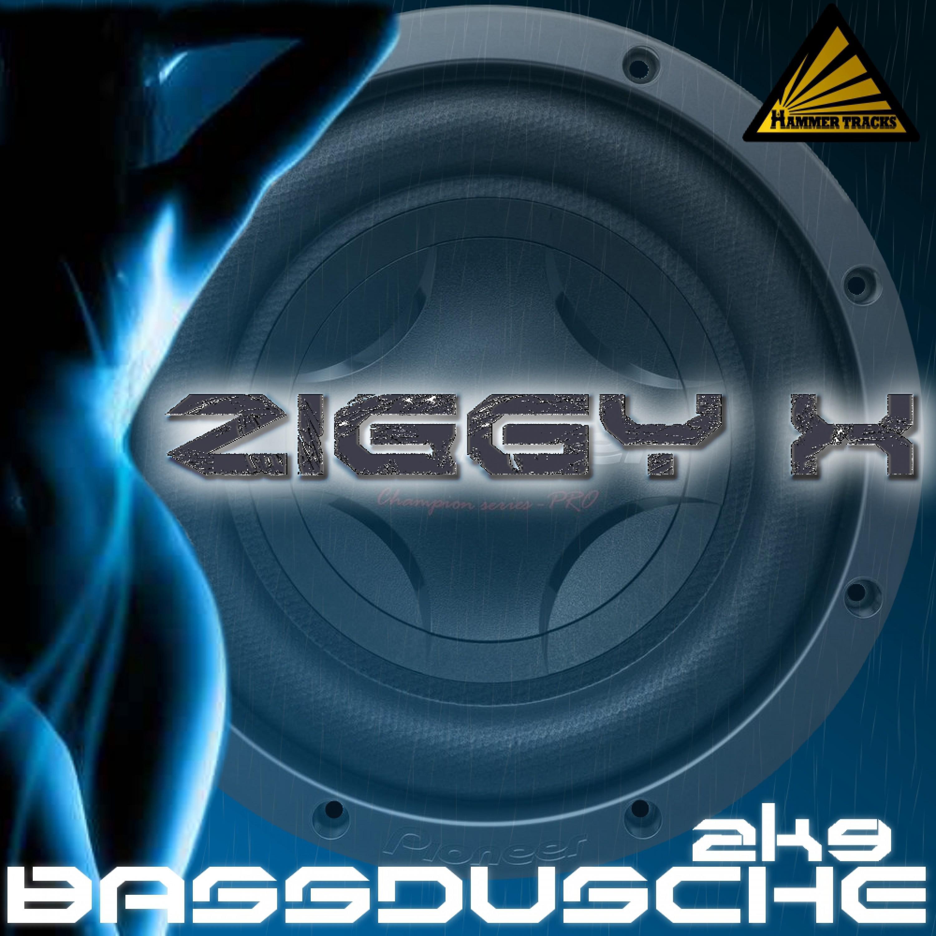 Bassdusche 2K9 (Txema Moliner Spanish Power Remix Radio Cut)