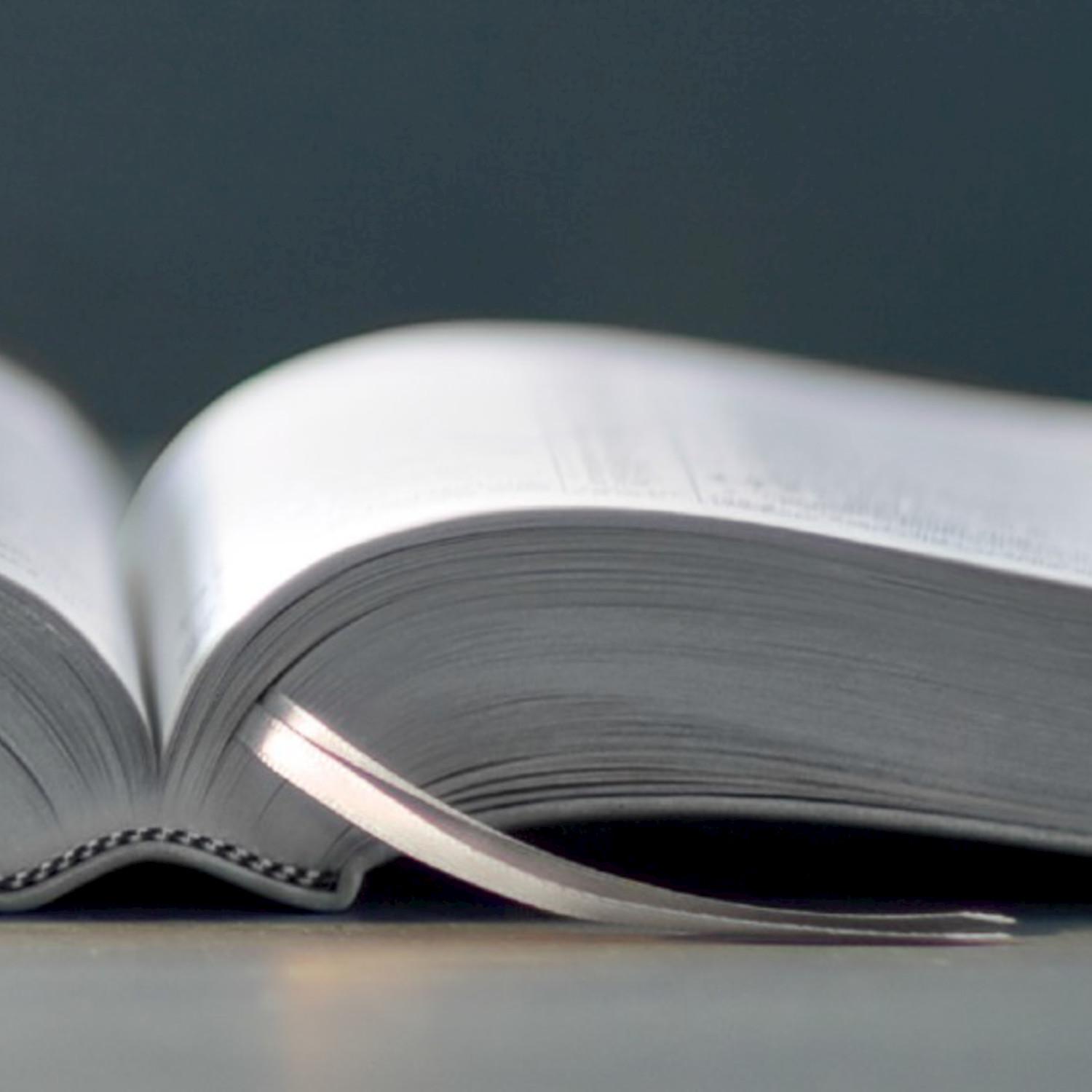 La Respuesta de Jehova