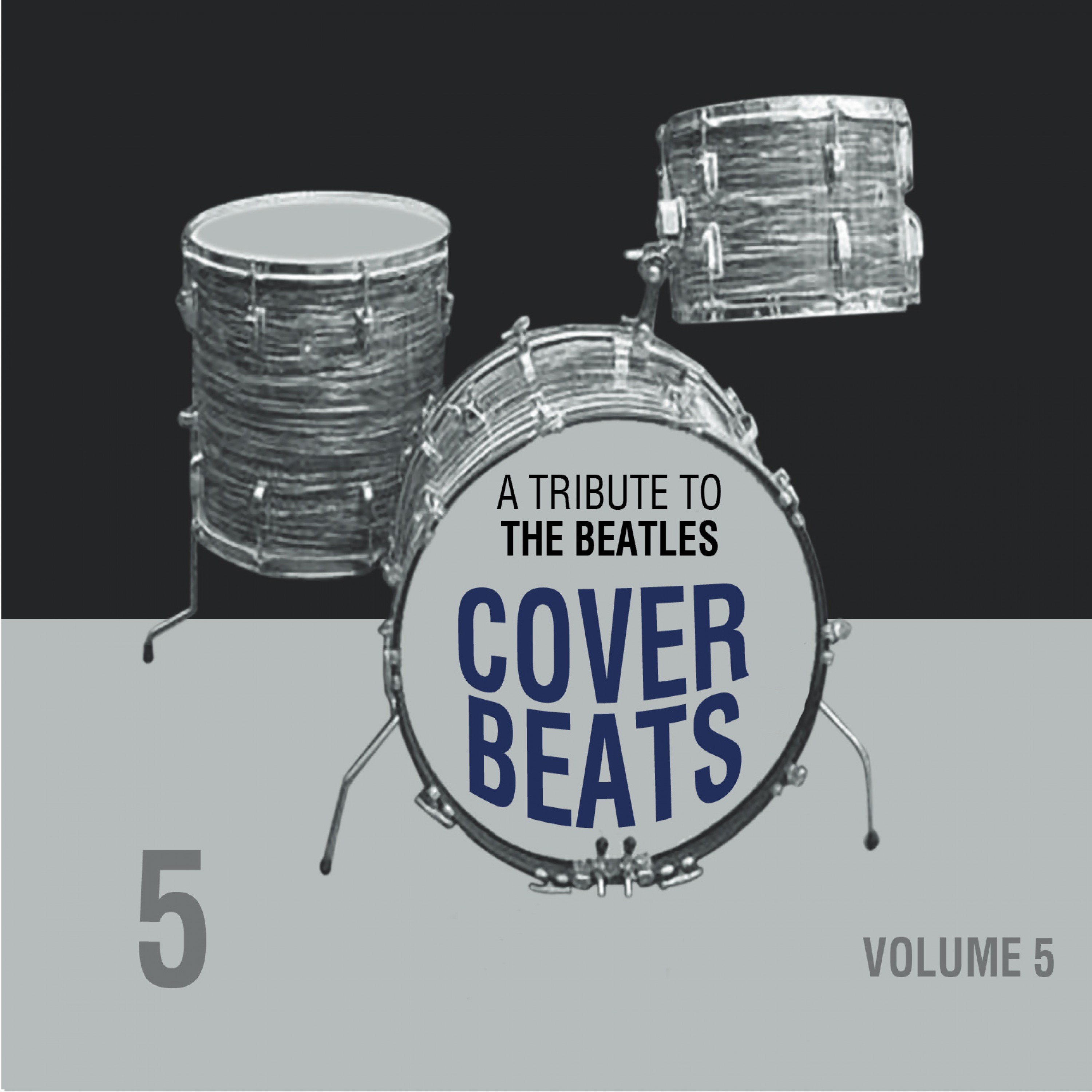 A Tribute to the Beatles Vol. 5