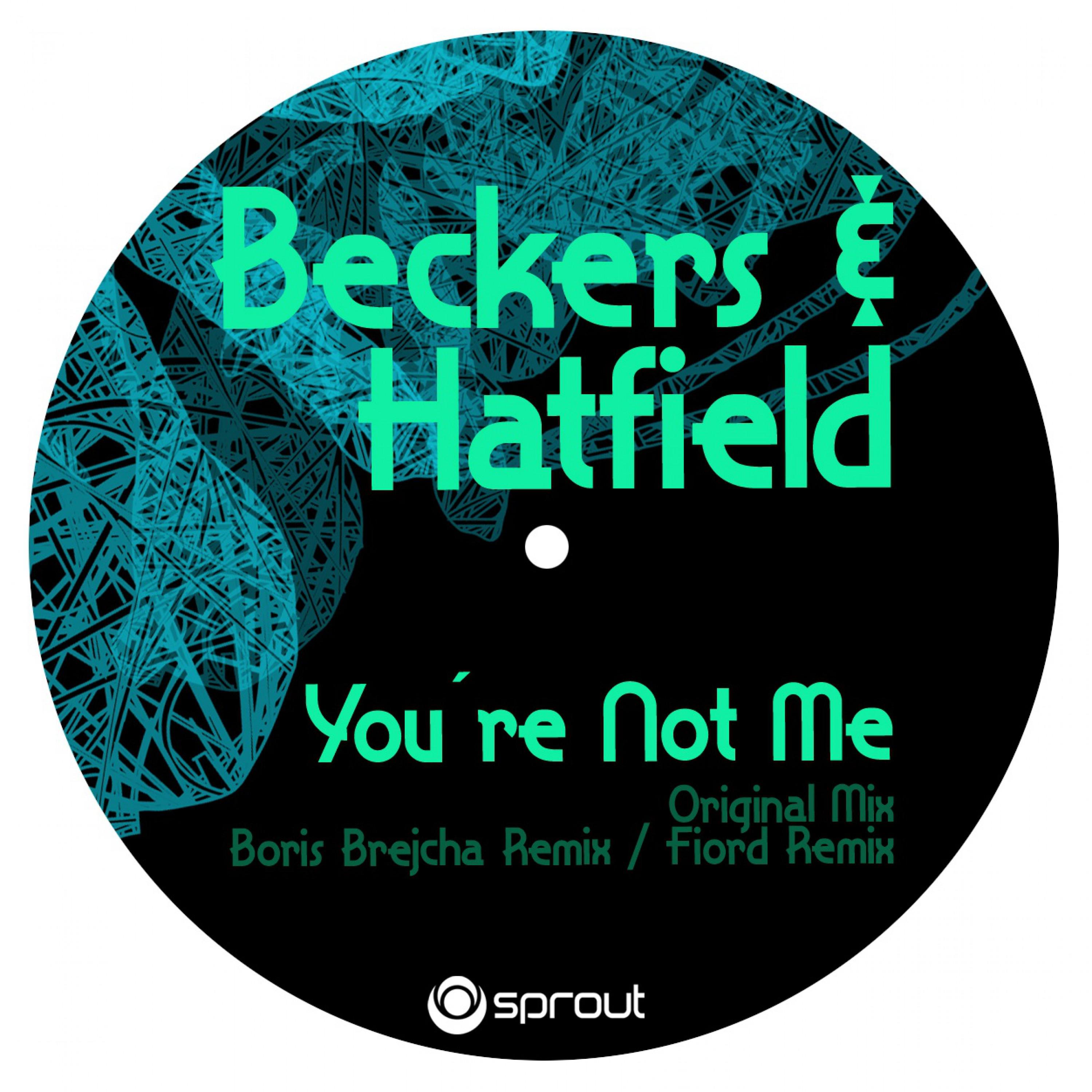 You're Not Me (Boris Brejcha Remix)