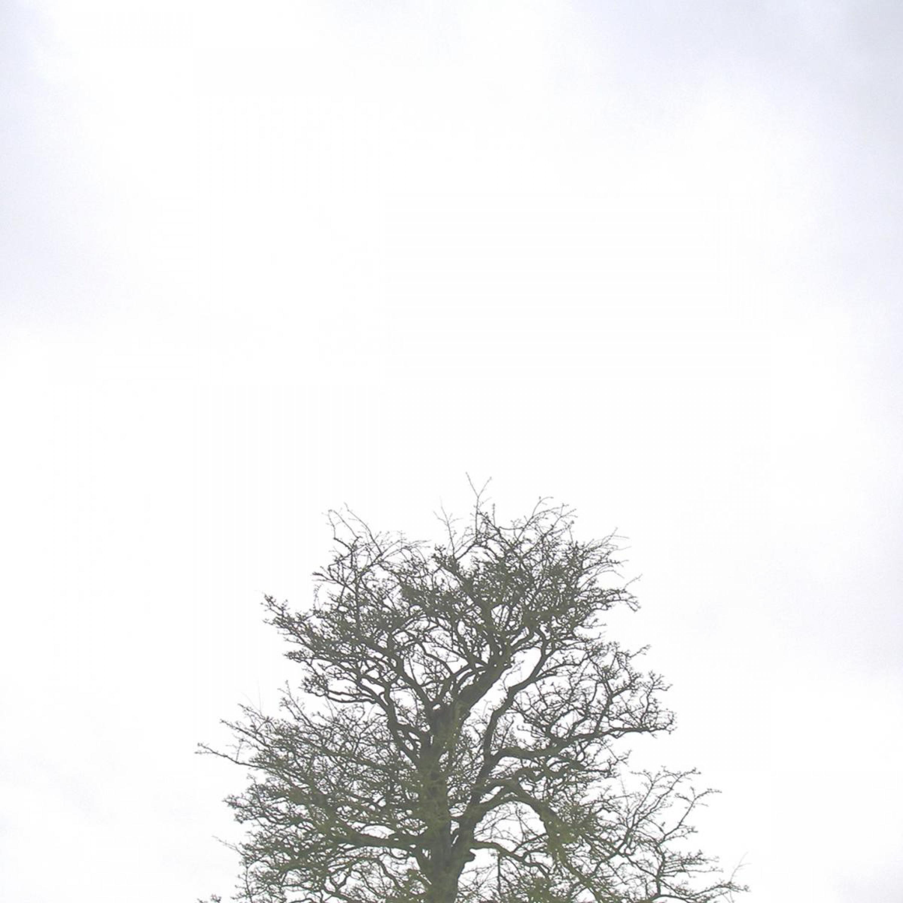 Fumbling On The Seams