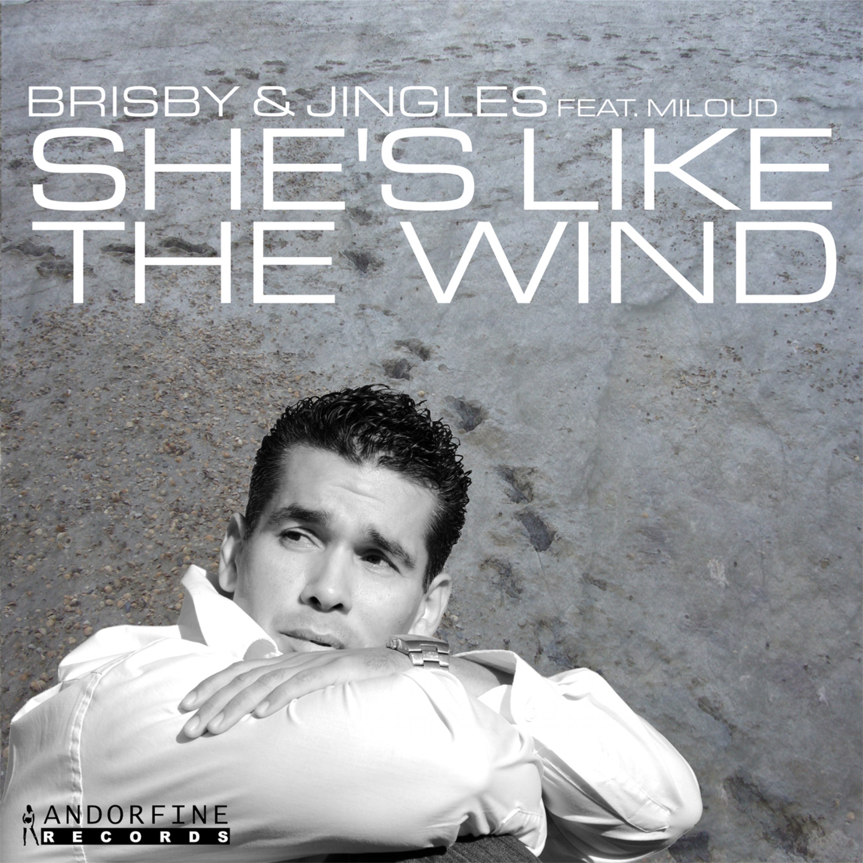 She's Like the Wind (Tim Verba Radio Cut)