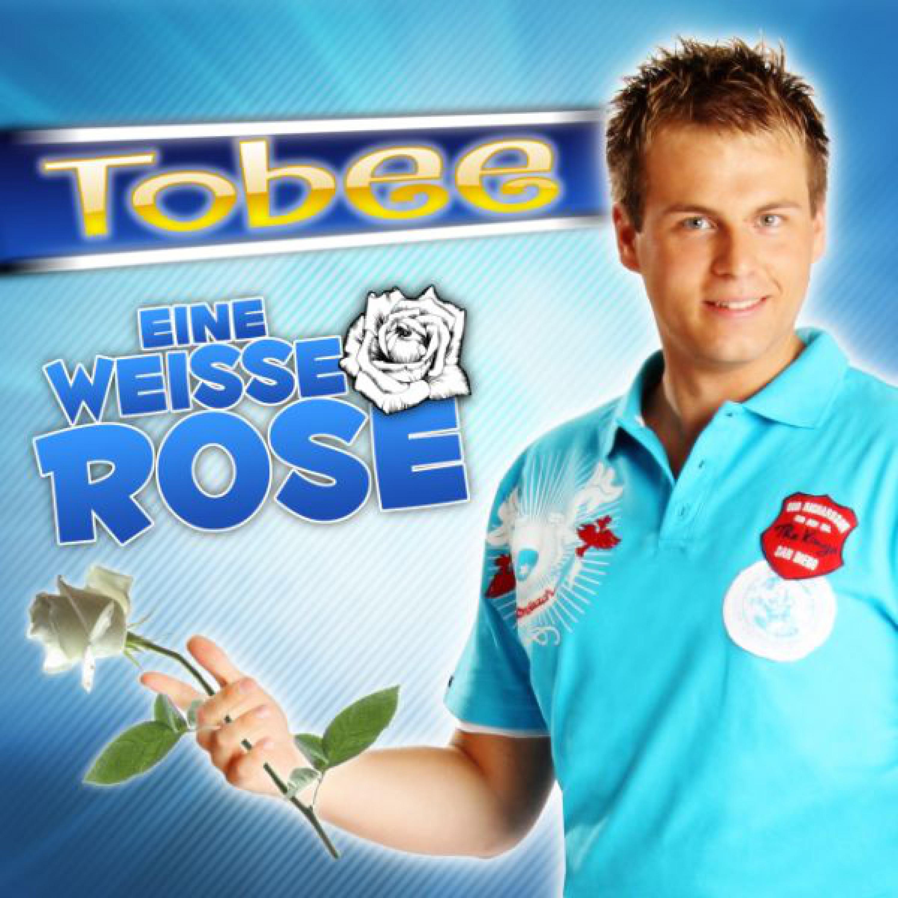 Eine Wei e Rose