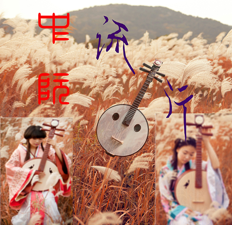 zhong ruan ye liu xing zhi xiao shi niu dao