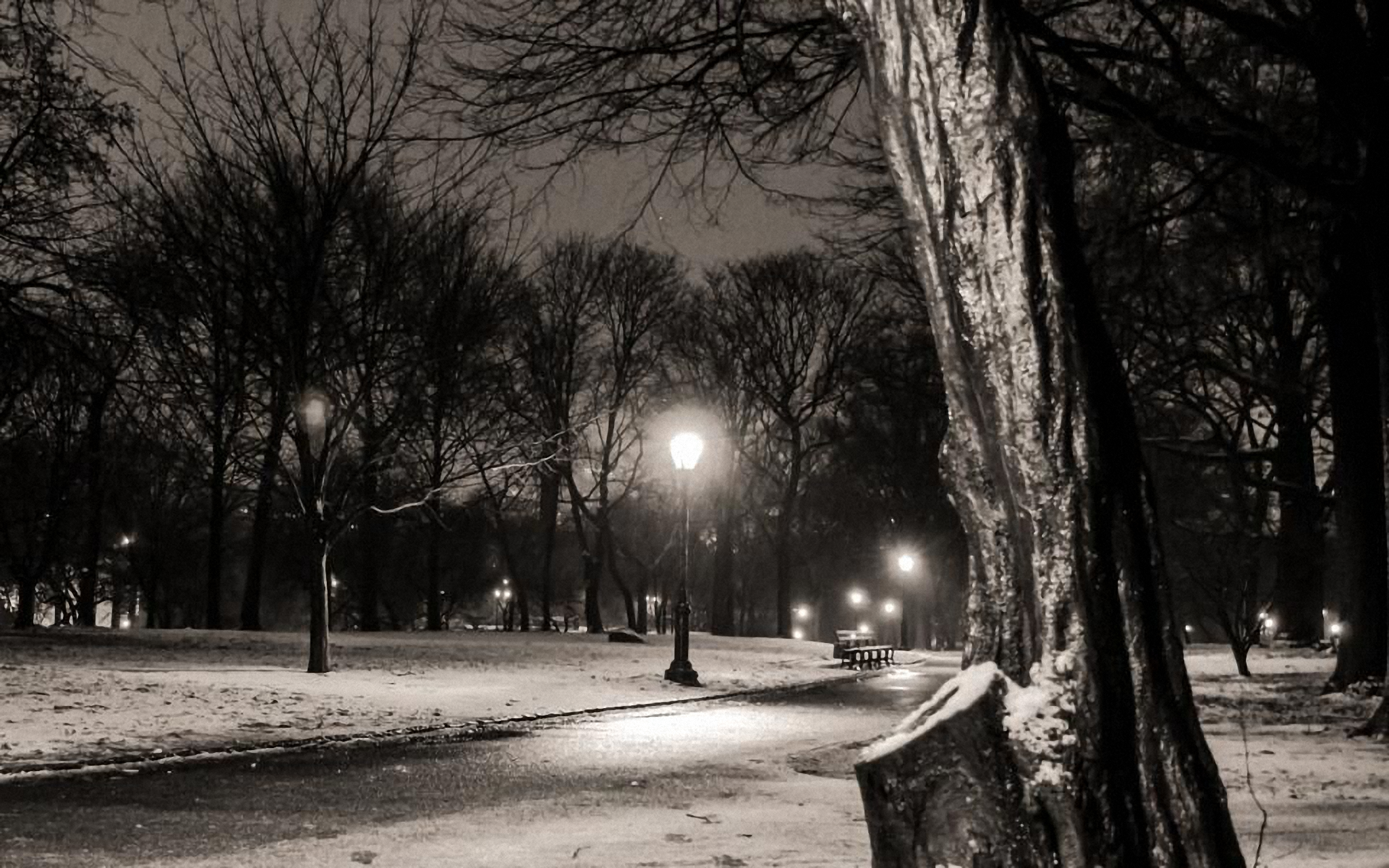 gang qin shi jie di yi de gong zhu dian xia Cover chu yin wei lai