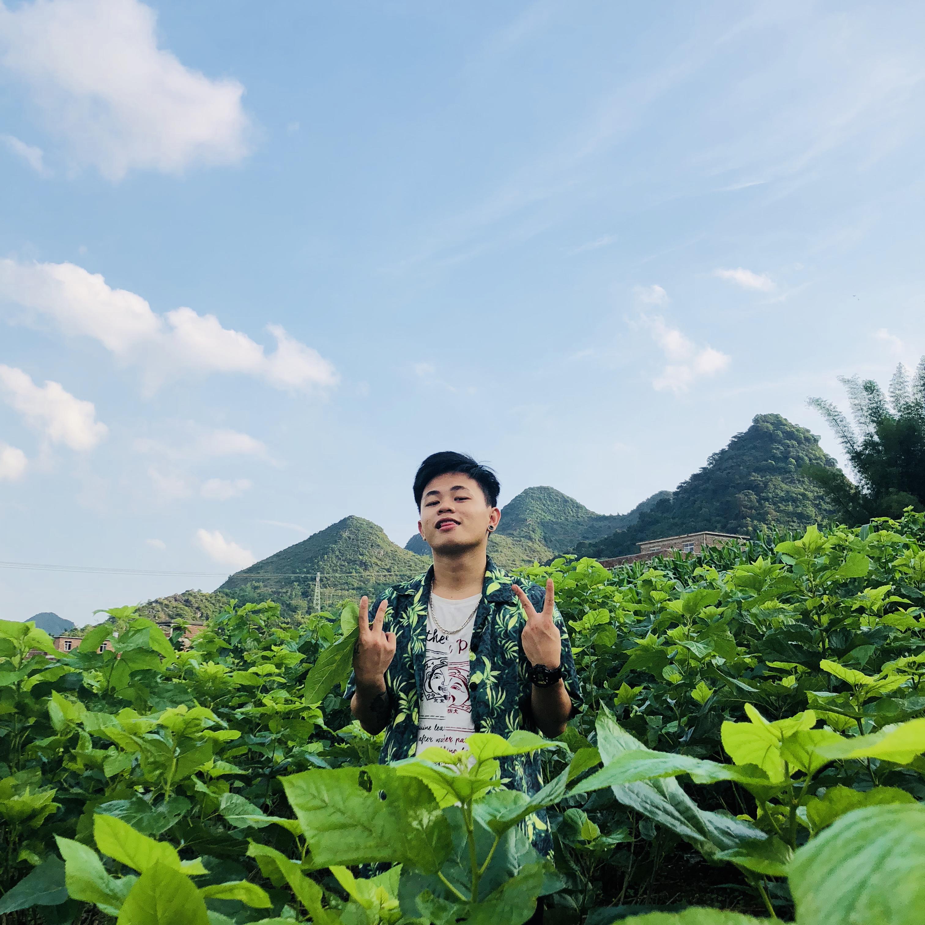 gao bie dan shen gou  ban zou