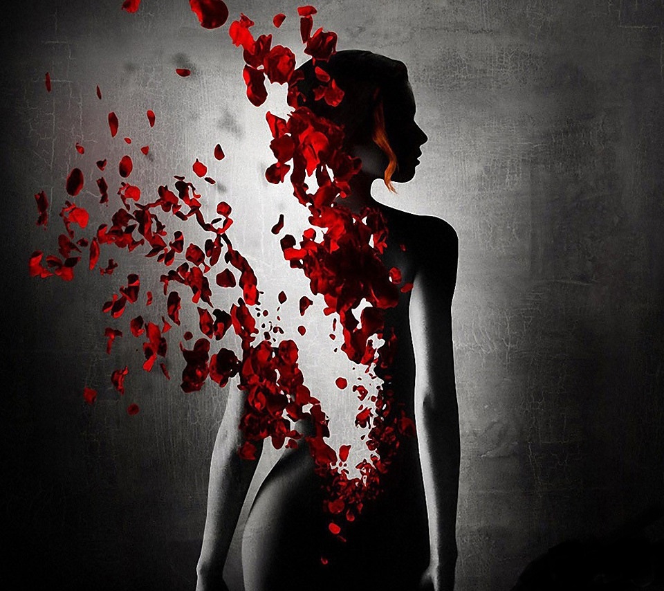 pi pa yu gu zheng xin zou