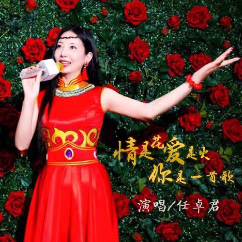 wo zou zai ren sheng de lu shang