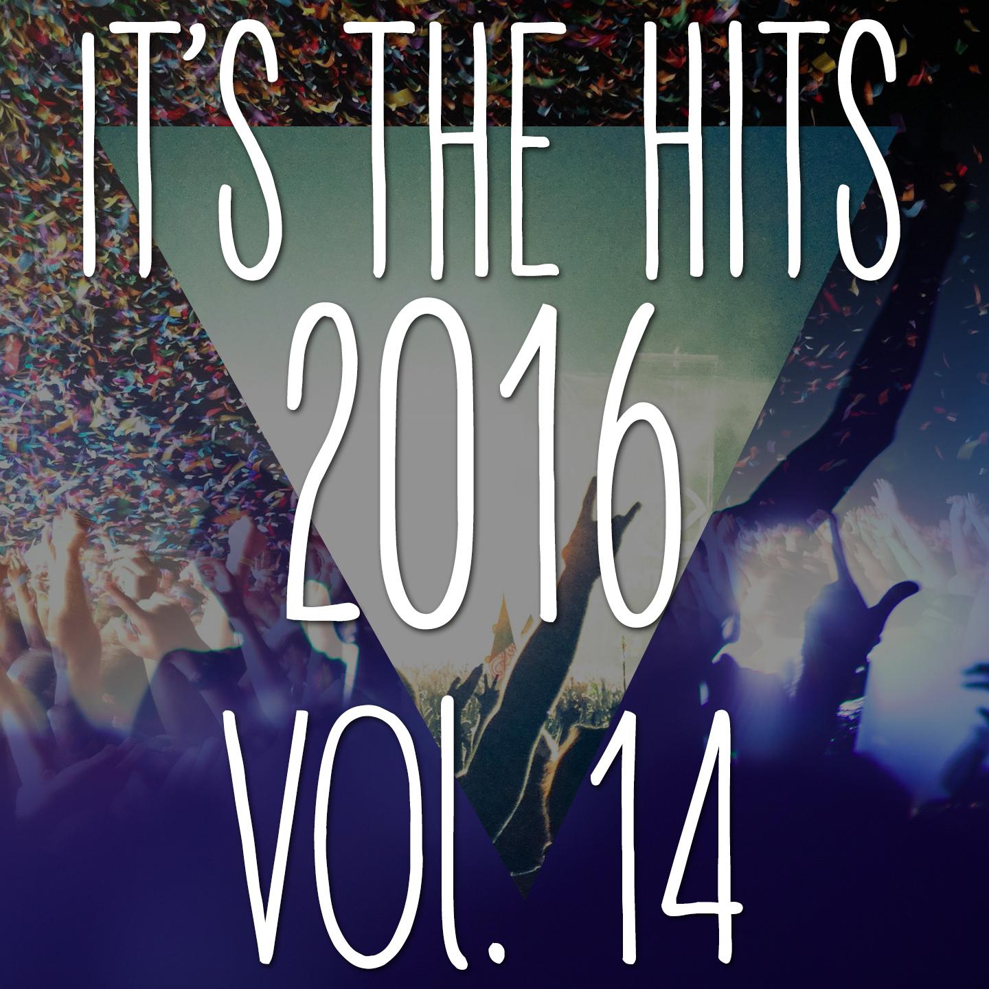 It's the Hits! 2016, Vol.14