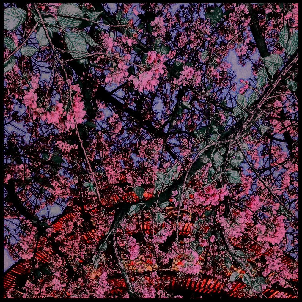 ying hua ke zhan Mask  Off  Remix