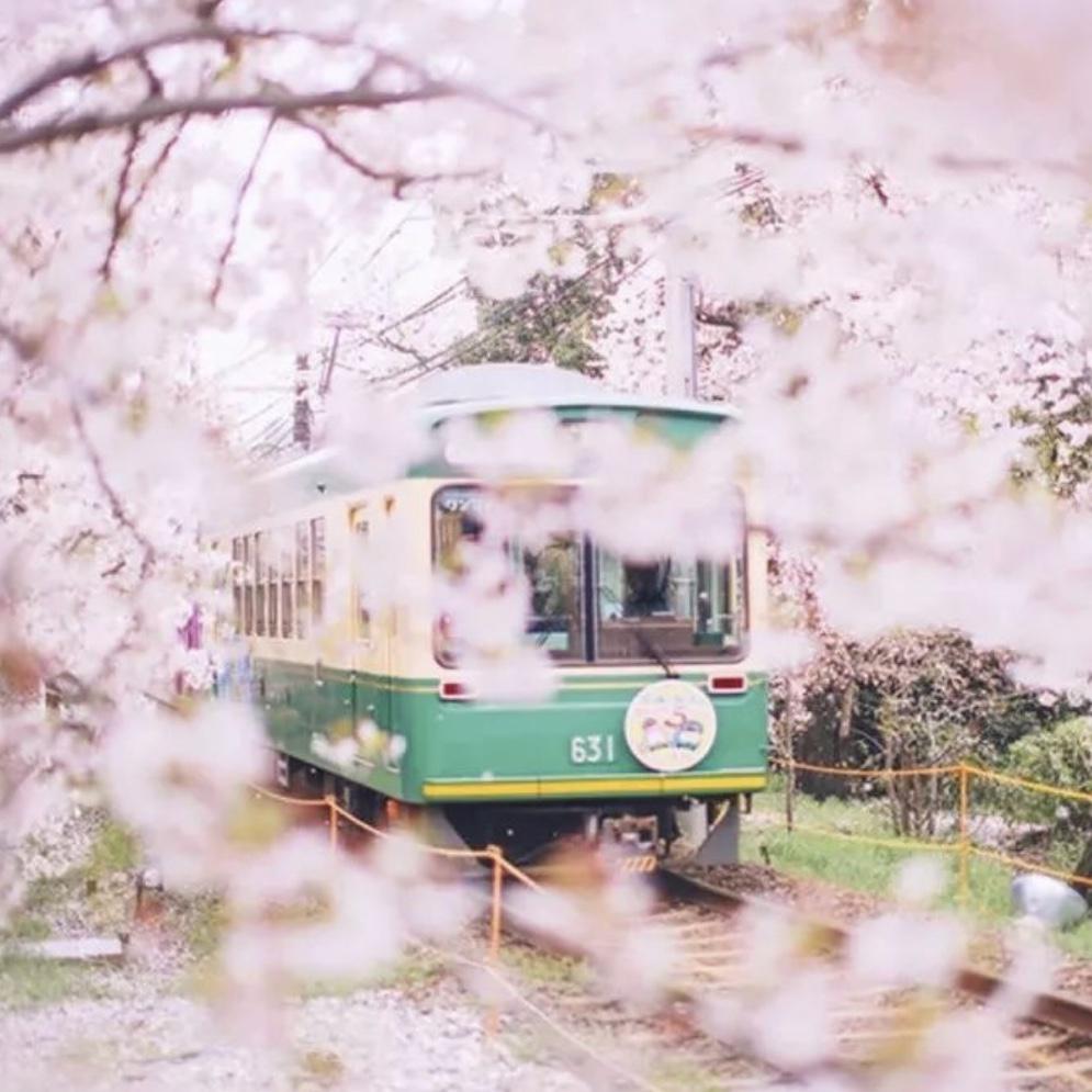 SPRING  DAY    BTS Cover fang dan shao nian tuan