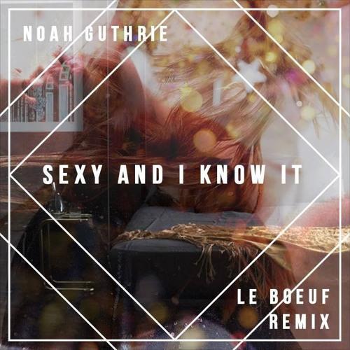 Sexy And I Know It (LMFAO Cover) (Le Boeuf Remix)