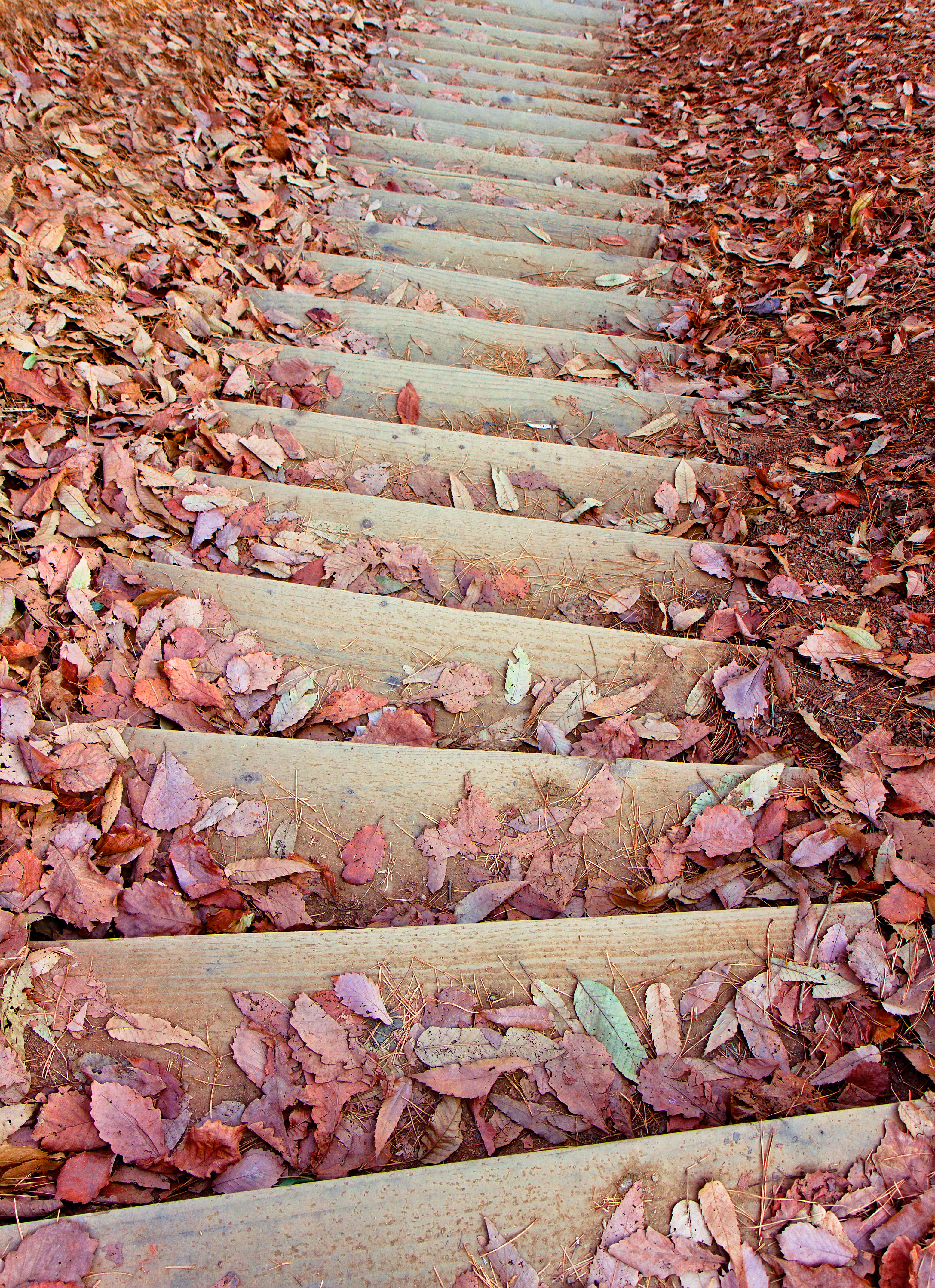 zou dao na li wo hai shi xiang yao you yi ge jia