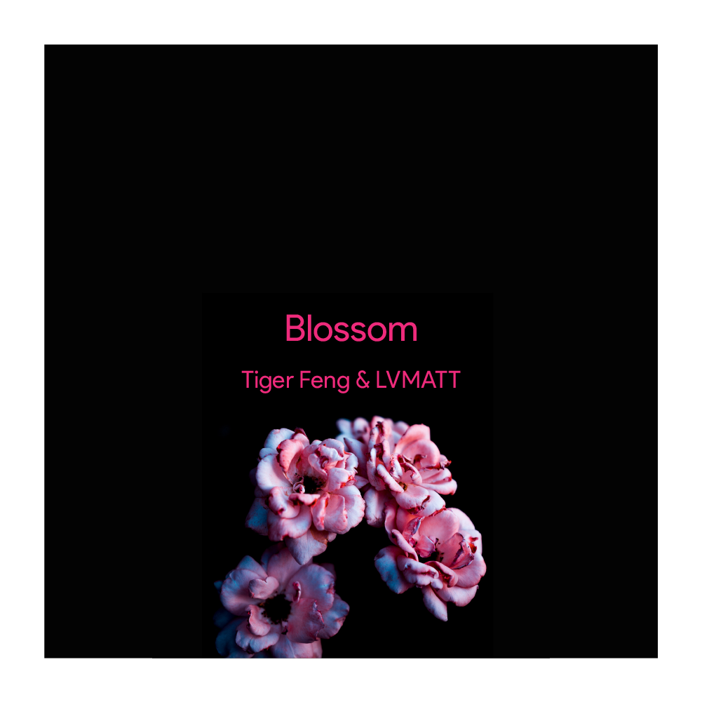Blossom