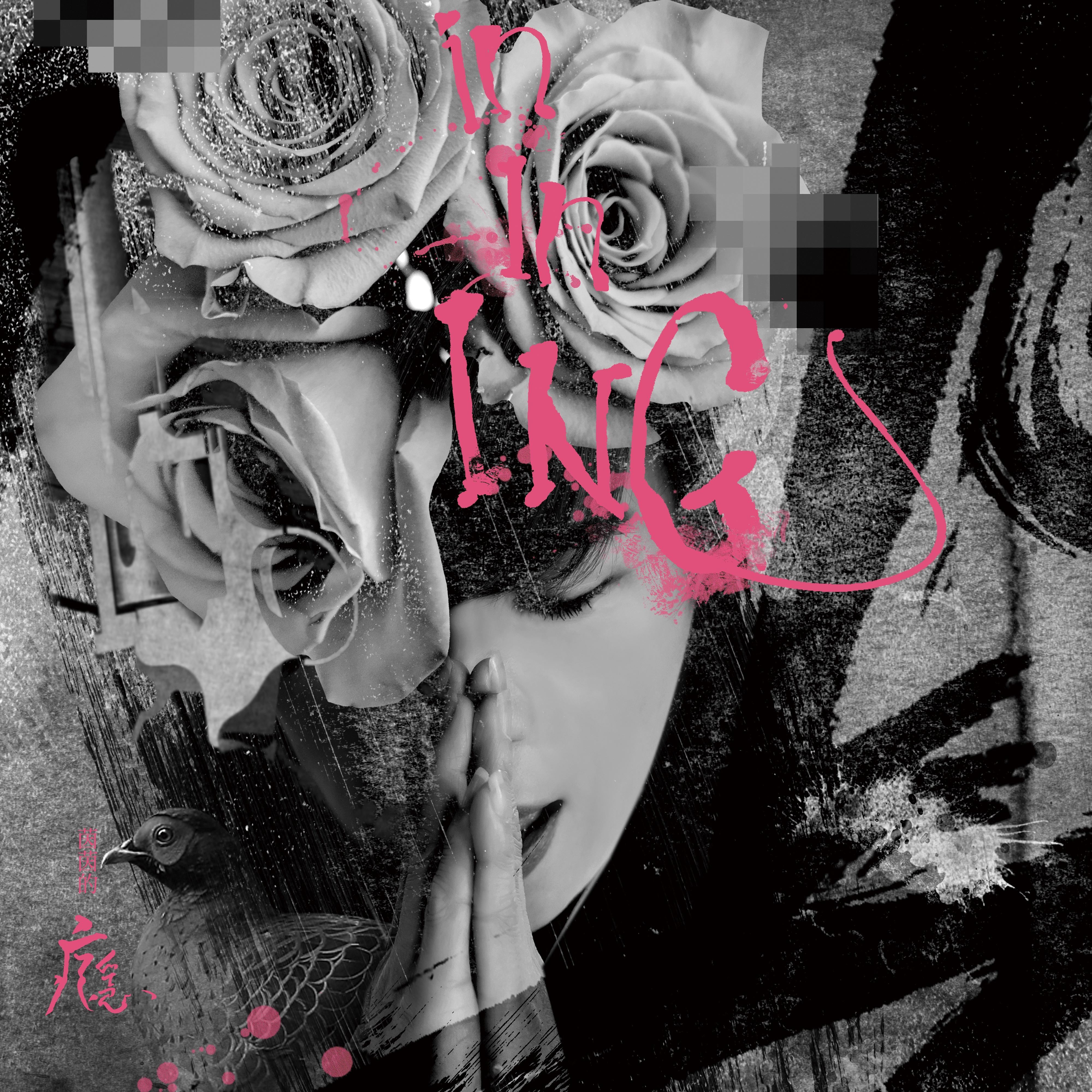 qiang kou de mei gui