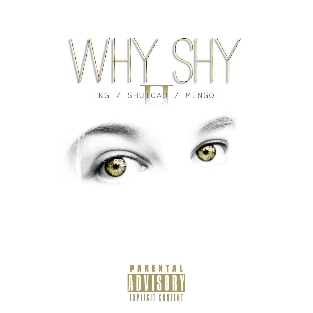 WHY  SHY  Remix prod  by  liu zhong ling