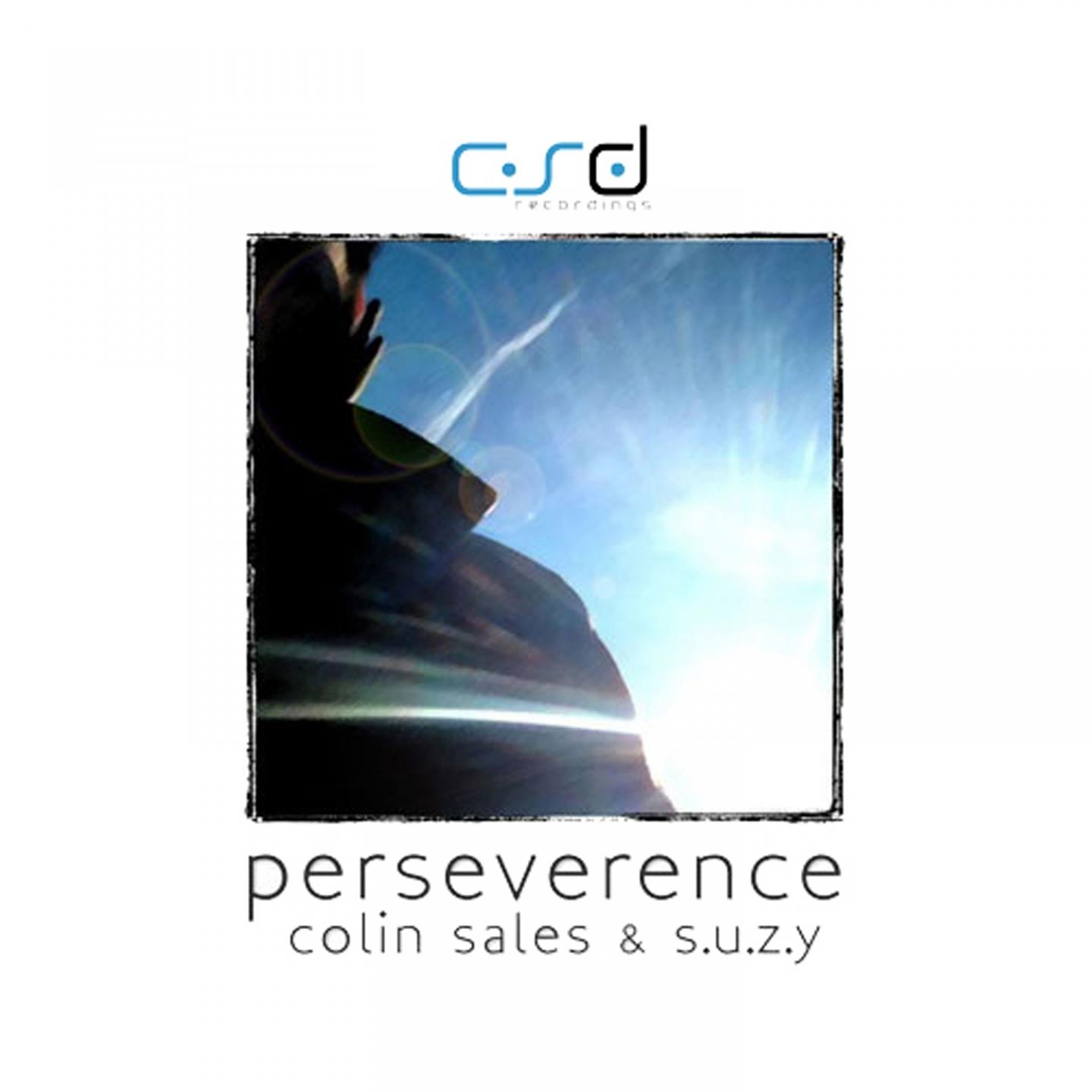 Perseverence (Rob Hayes Remix)