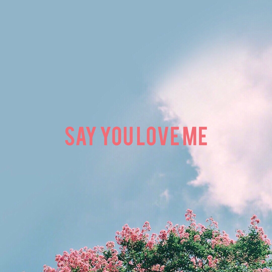 Say You Love Me Remix Lyrics Follow Lyrics