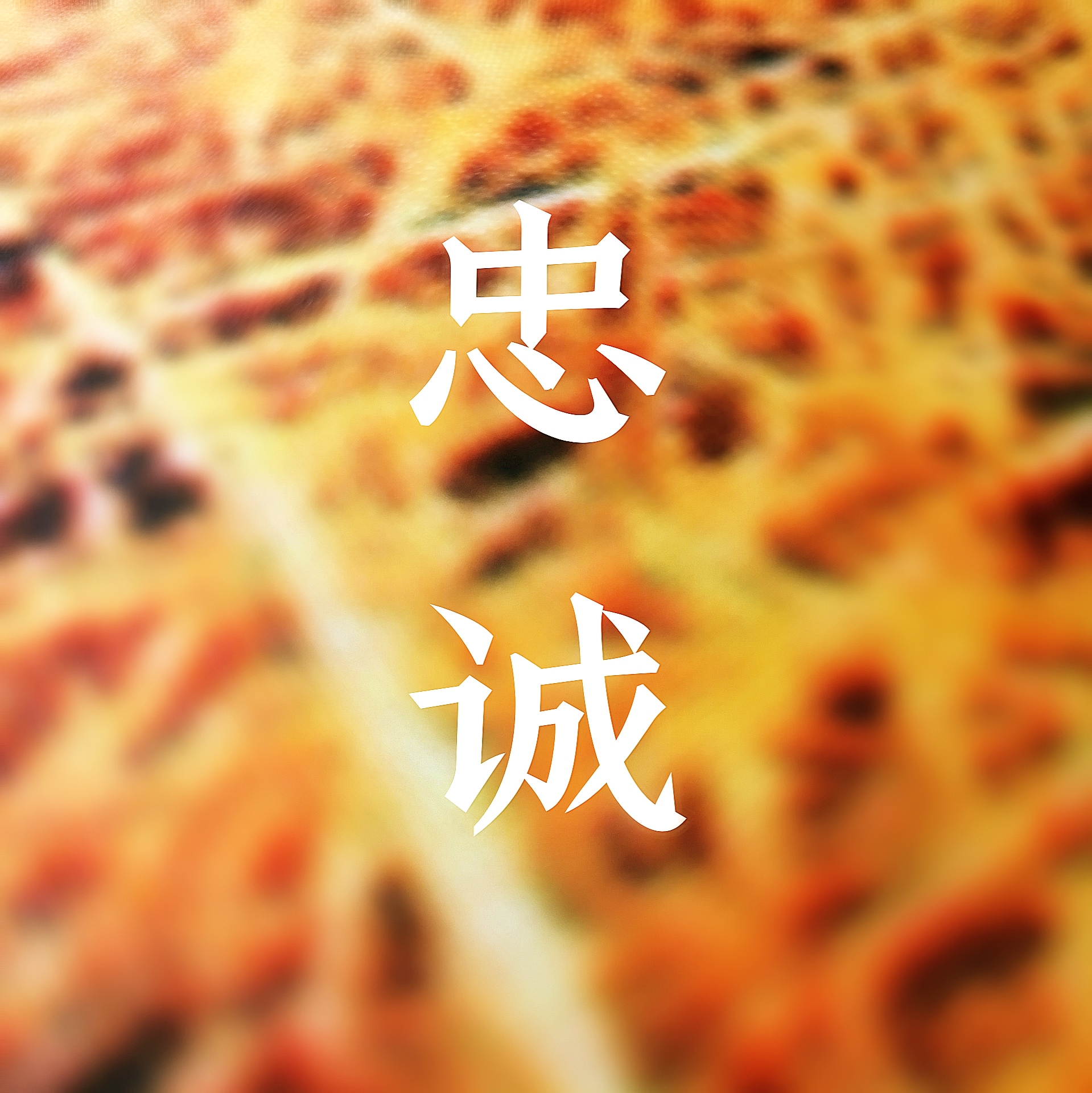 ba ma, rang wo zai ai ni men yi ci