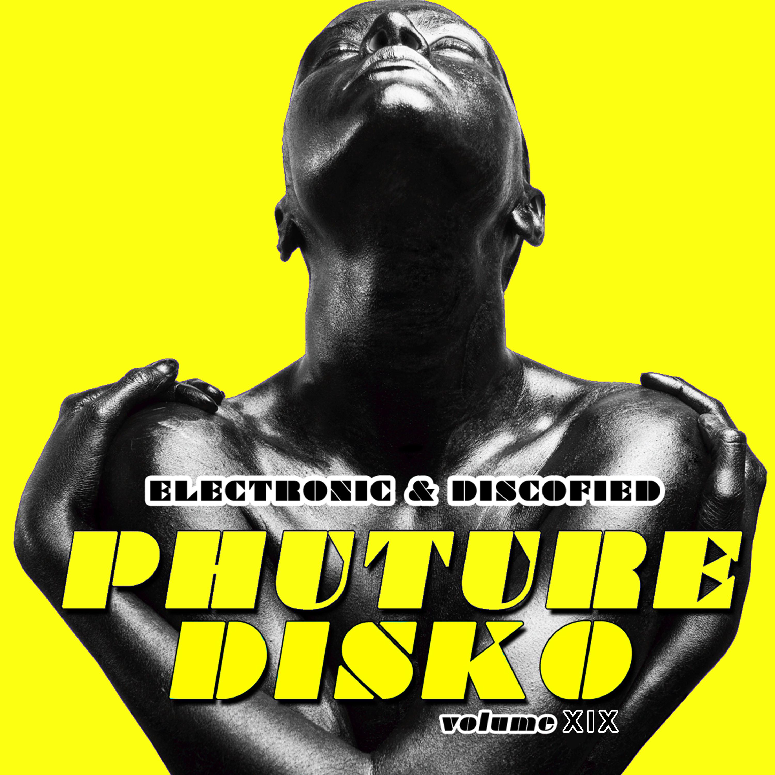 Phuture Disko, Vol. 19 - Electronic & Discofied