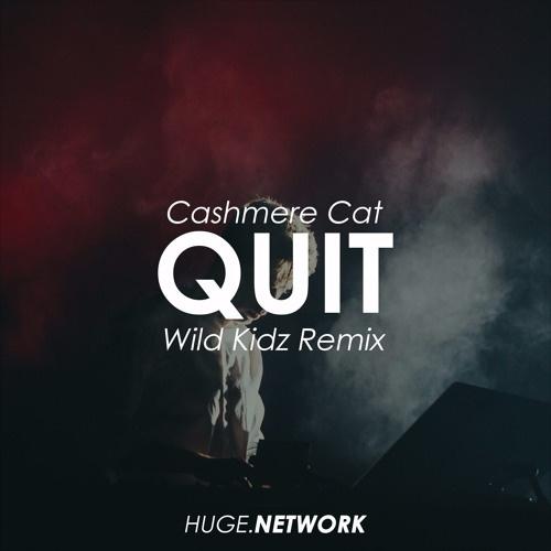 Quit (Wild Kidz Remix)