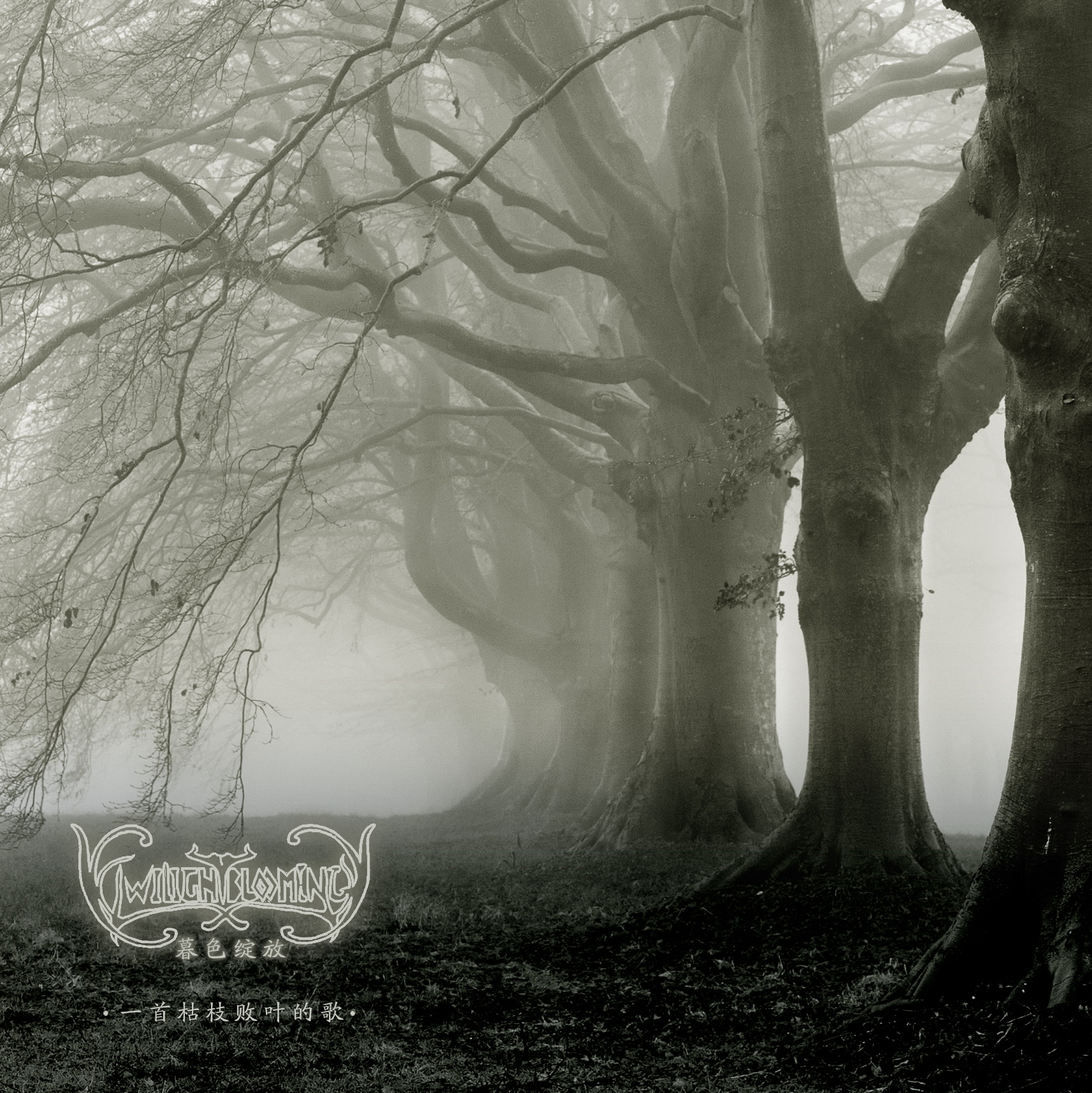 yi shou ku zhi bai ye de ge