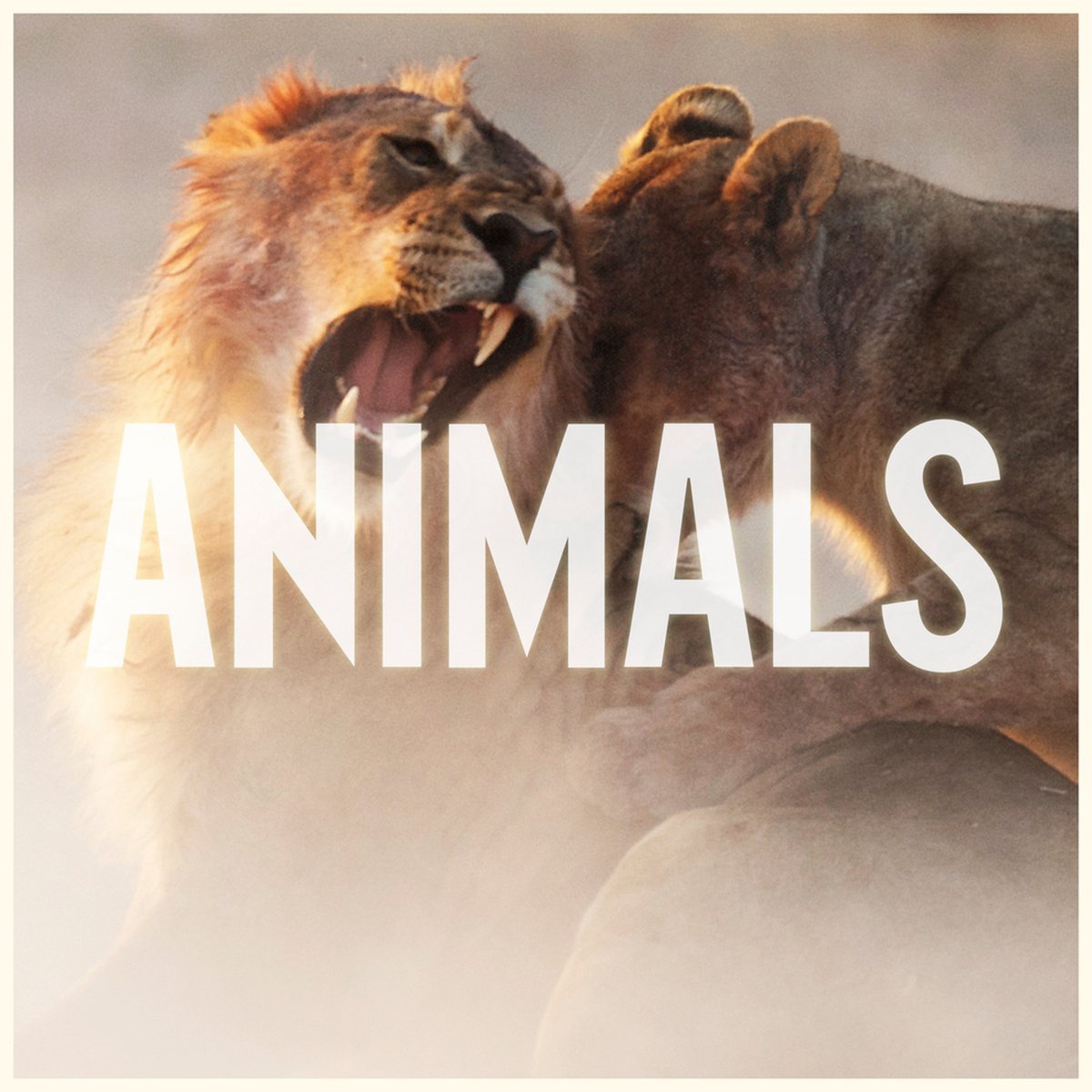 Animals  DJAbduMiJiT  Remix