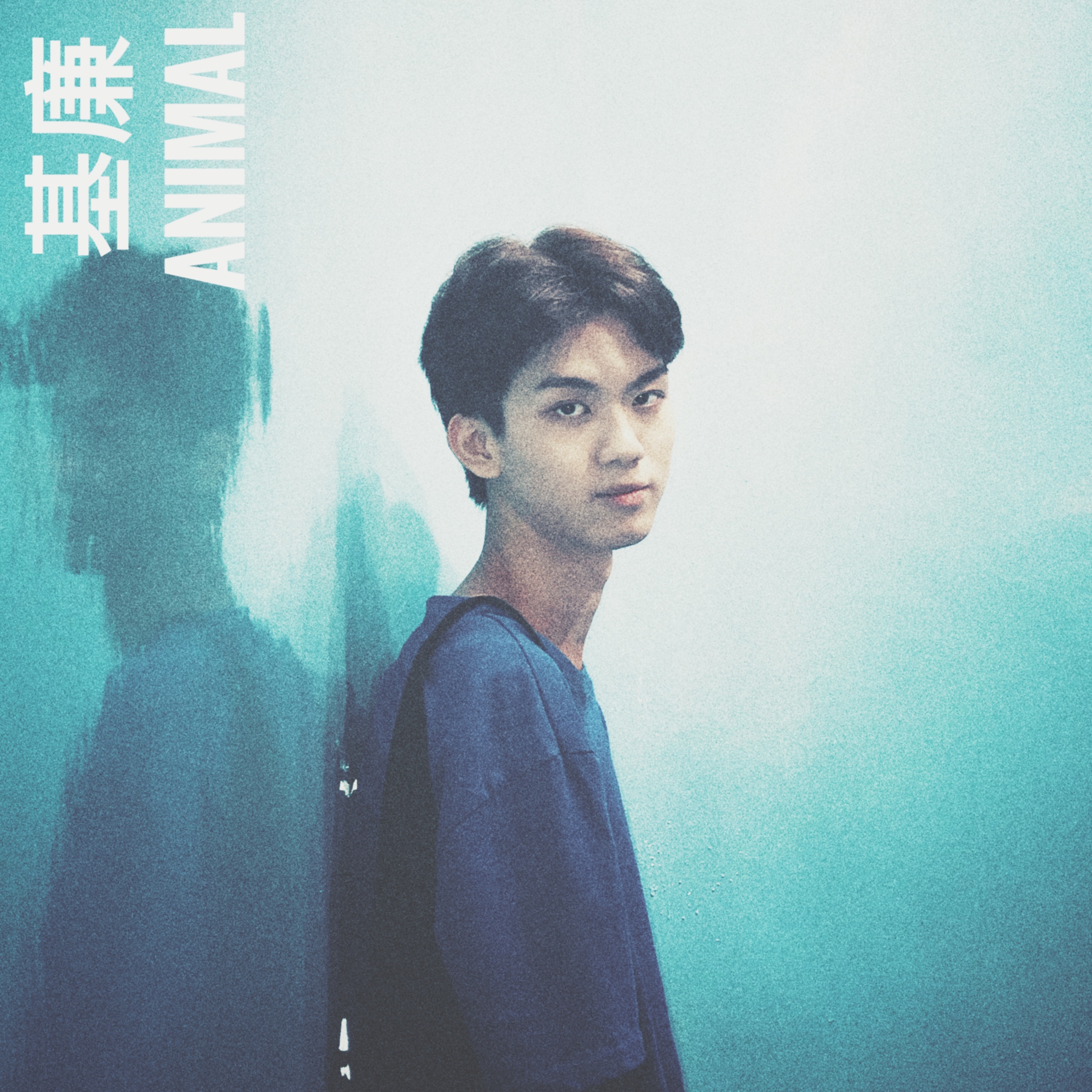 Animal Cover: Troye Sivan