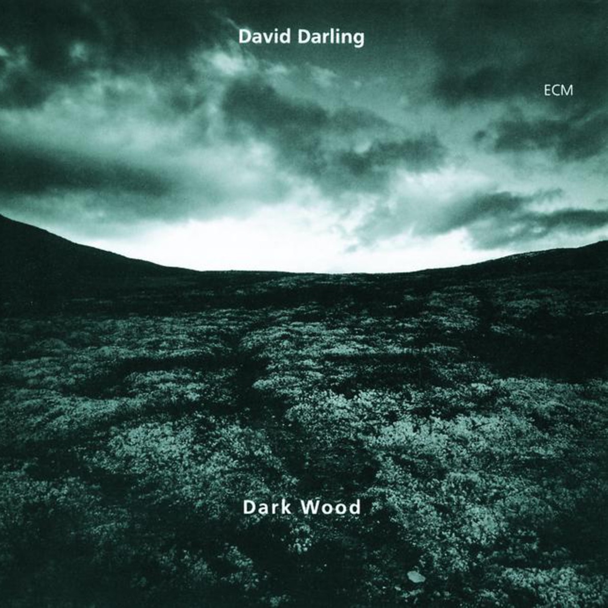 Dawn (Darkwood IV)