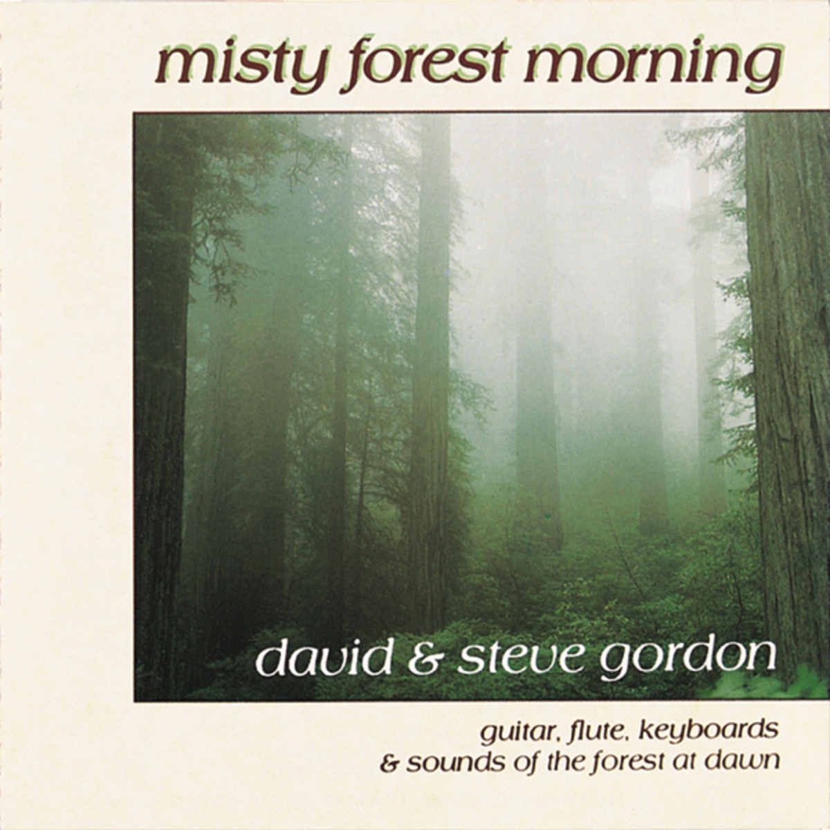 Misty Forest Morning