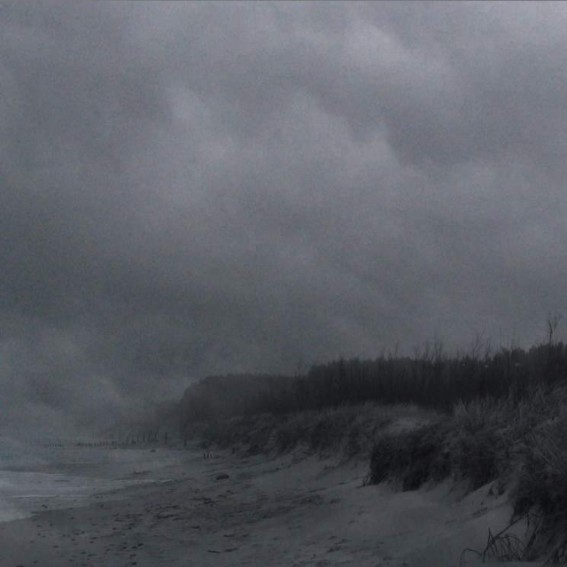 The Critical State of Loneliness