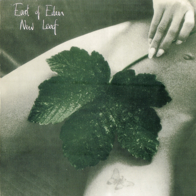 Bradshaw The Bison Hunter