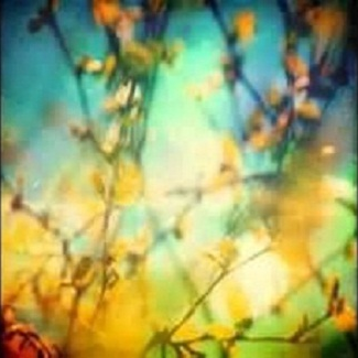 As Long As I Can Hold My Breath (By Night)