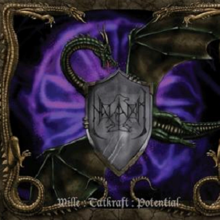Wille Tatkraft Potential