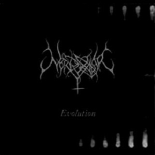 Into The Vast Terrain