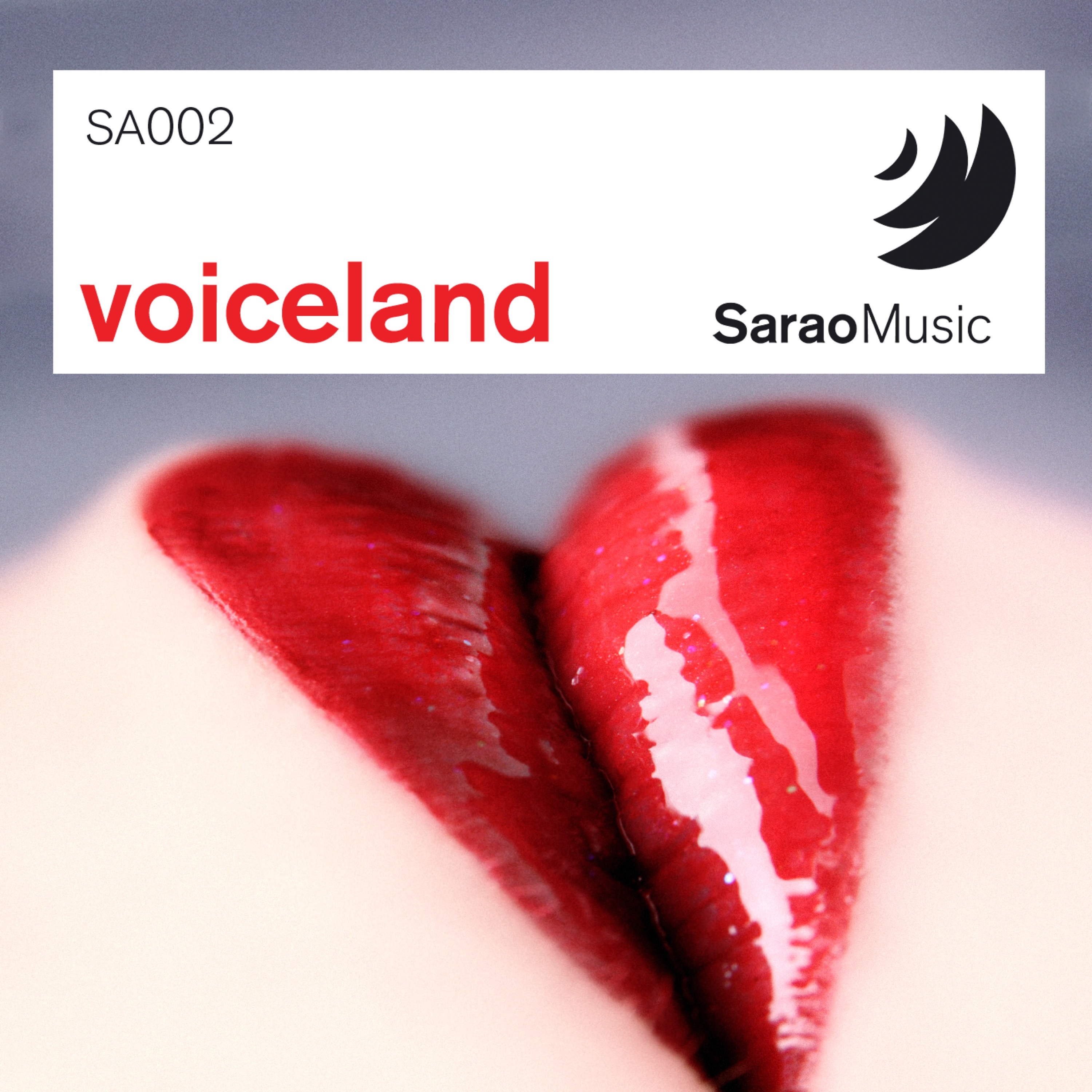 Brazilian Cool Night Dance