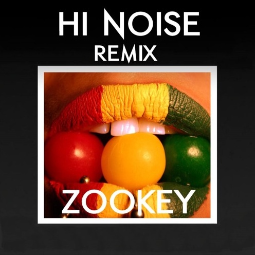 Zookey (Hi Noise Remix)