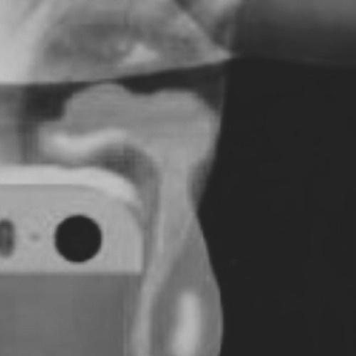 A Girl's Best Friend