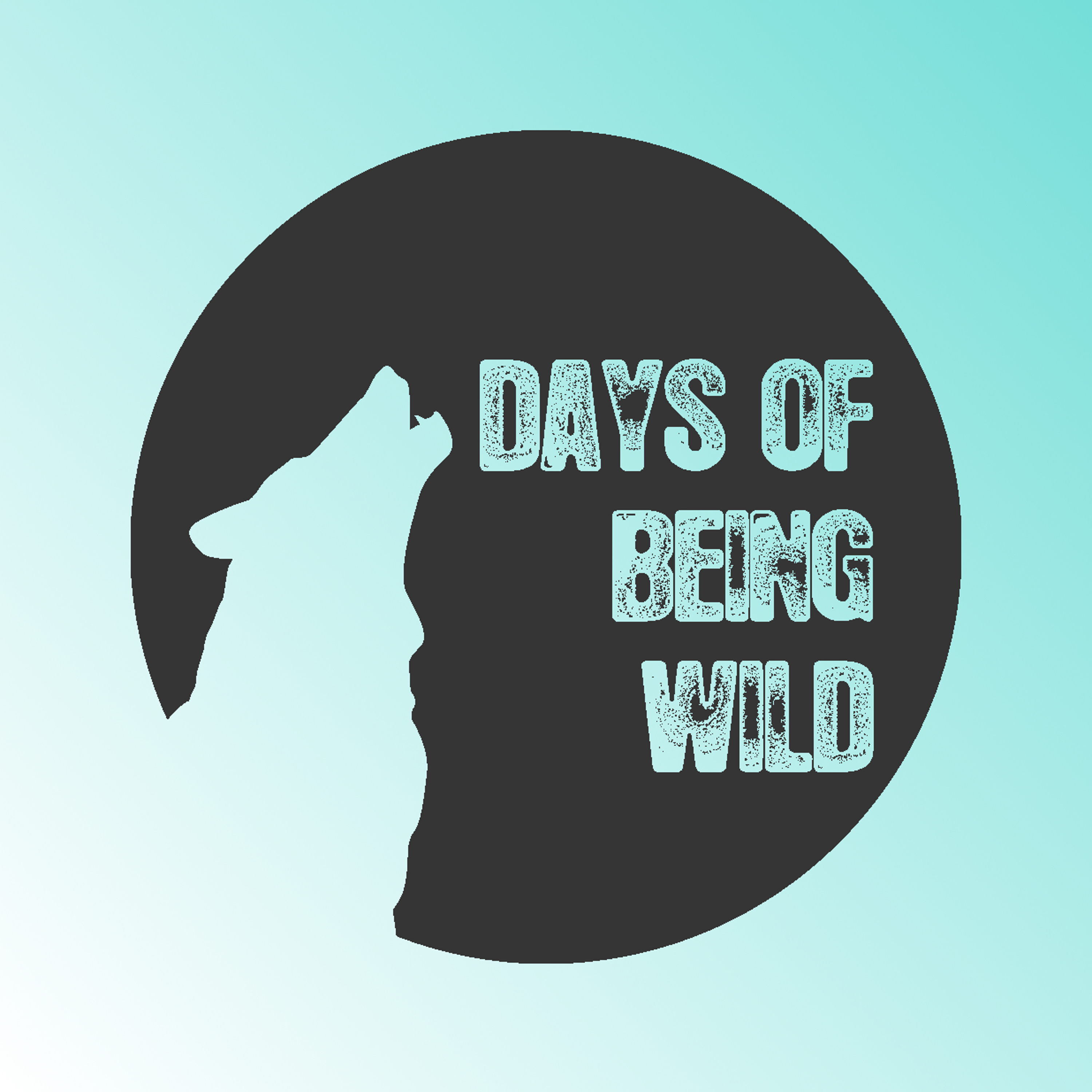 Night Drive (Club Bizarre Remix)