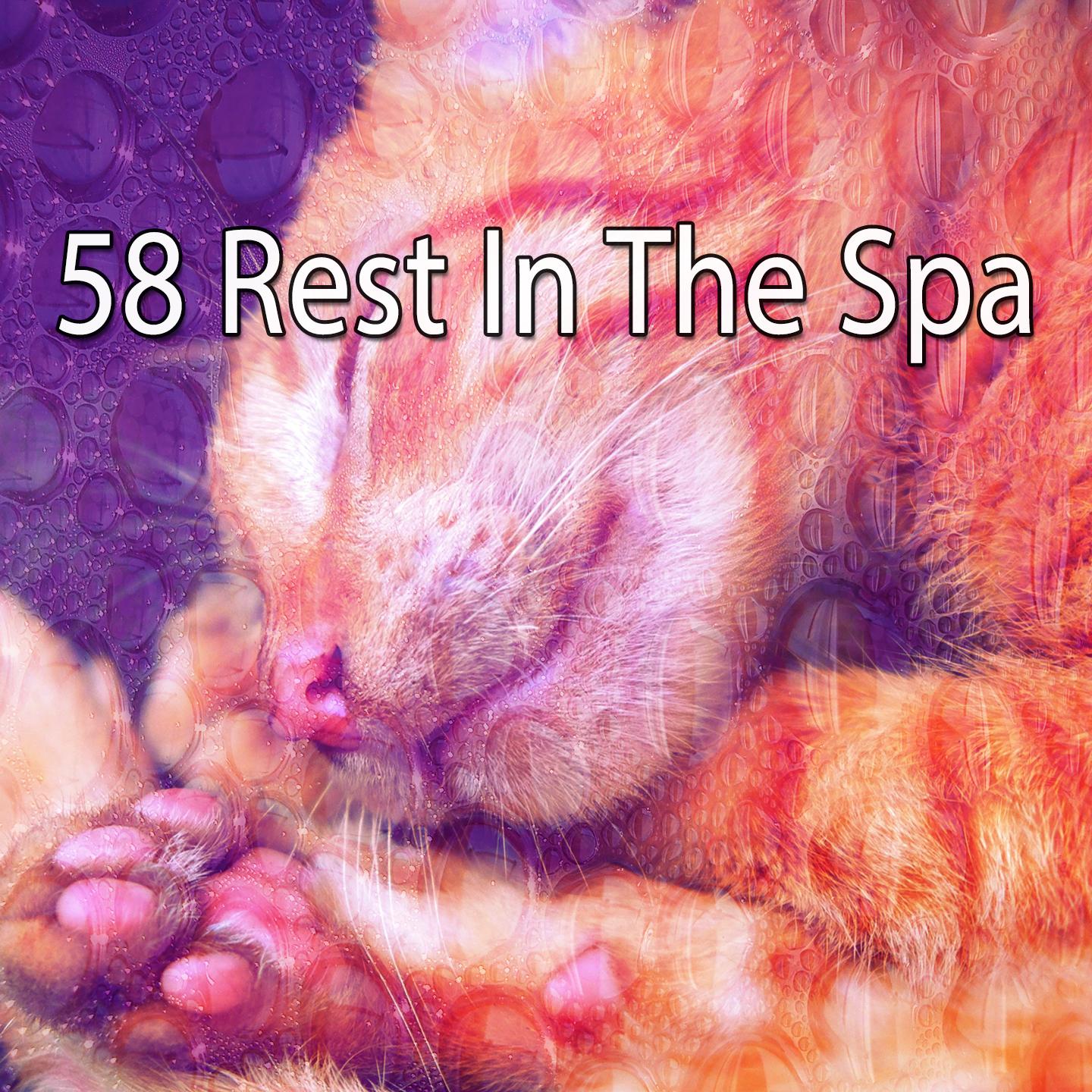 58 Rest In The Spa