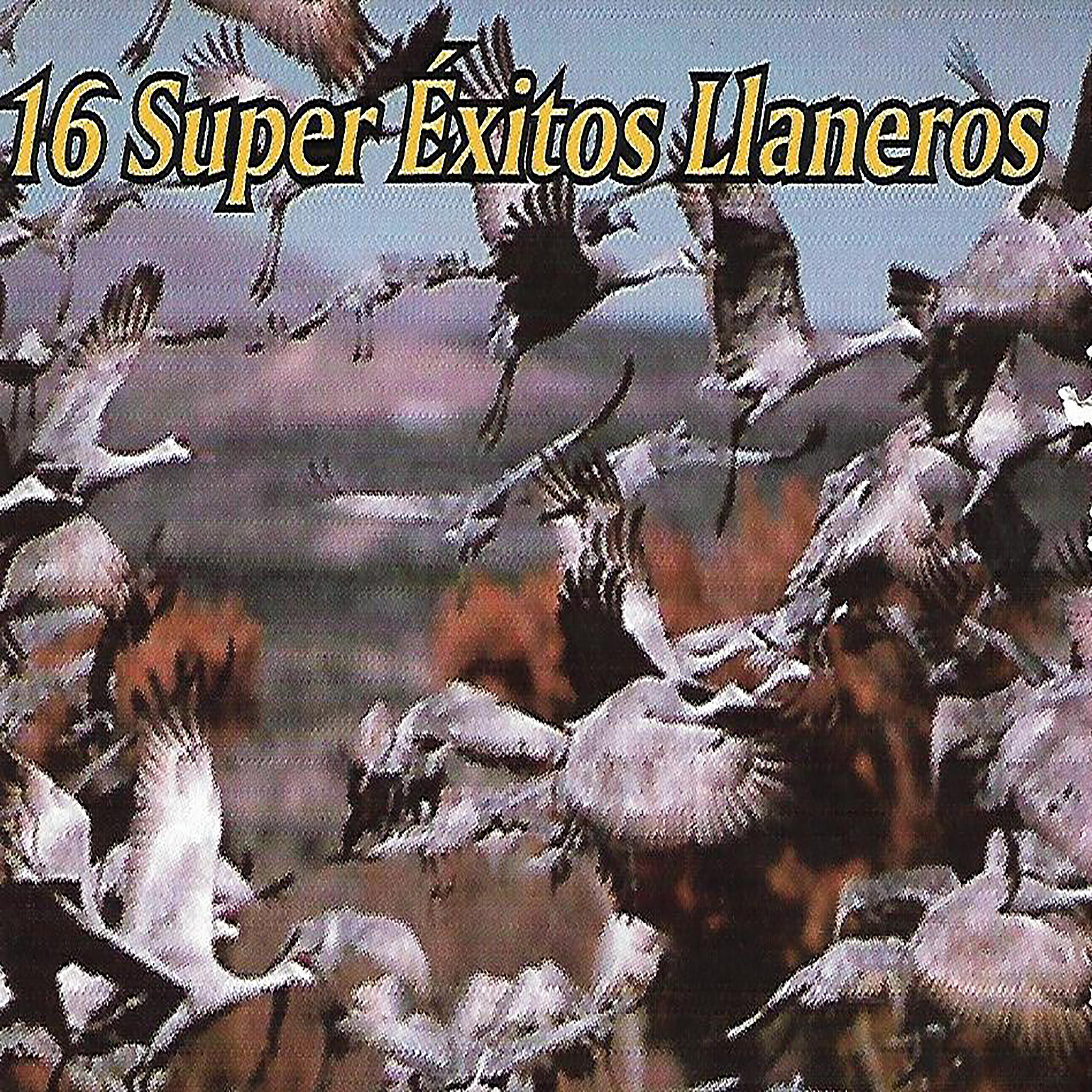 16 Super É xitos Llaneros