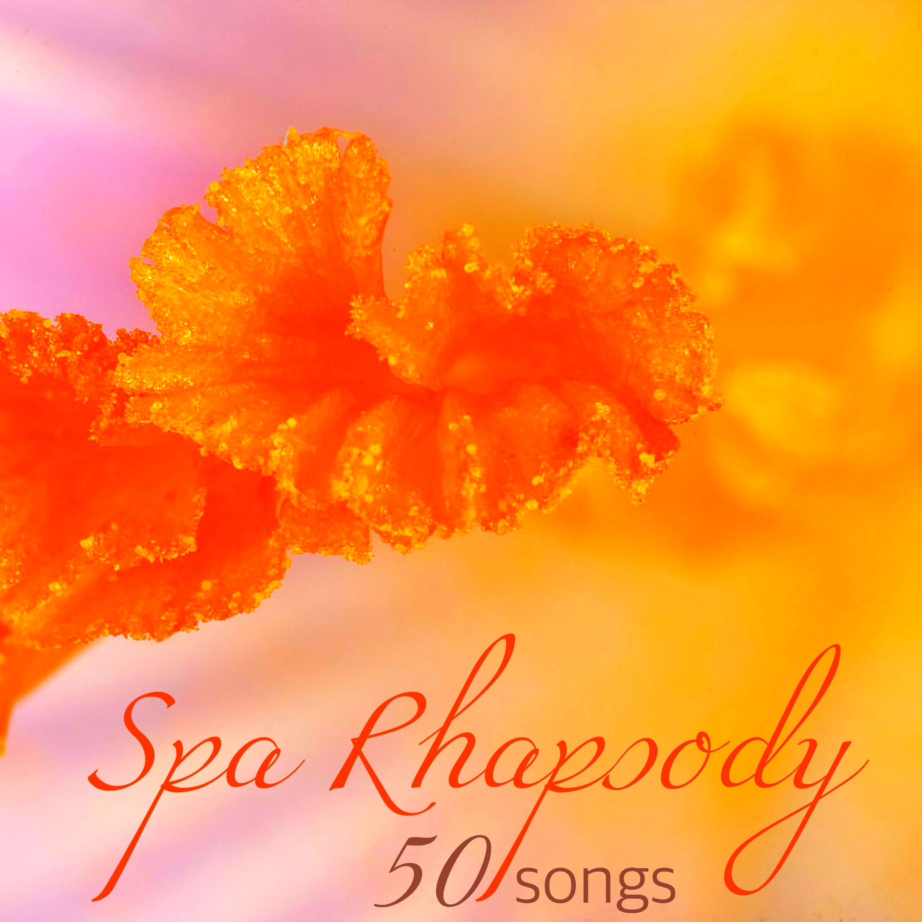 Spa Rhapsody 50 Songs  Healing and Quiet Music for Your Day Spa