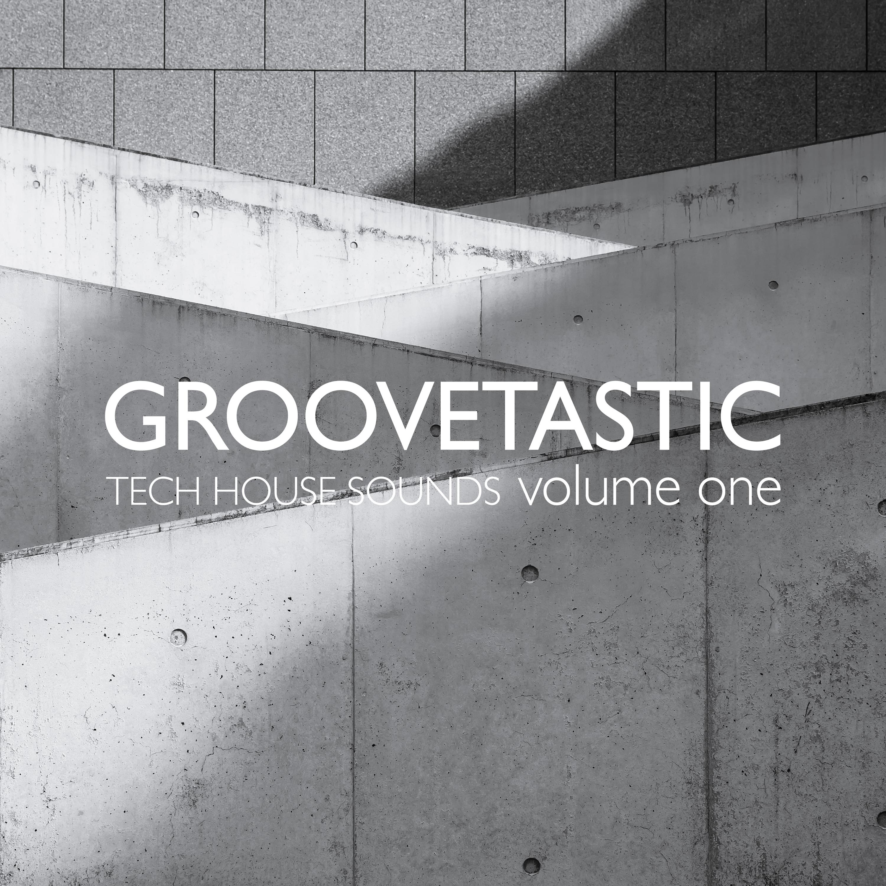 Groovetastic, Vol. 1 - Tech House Sounds