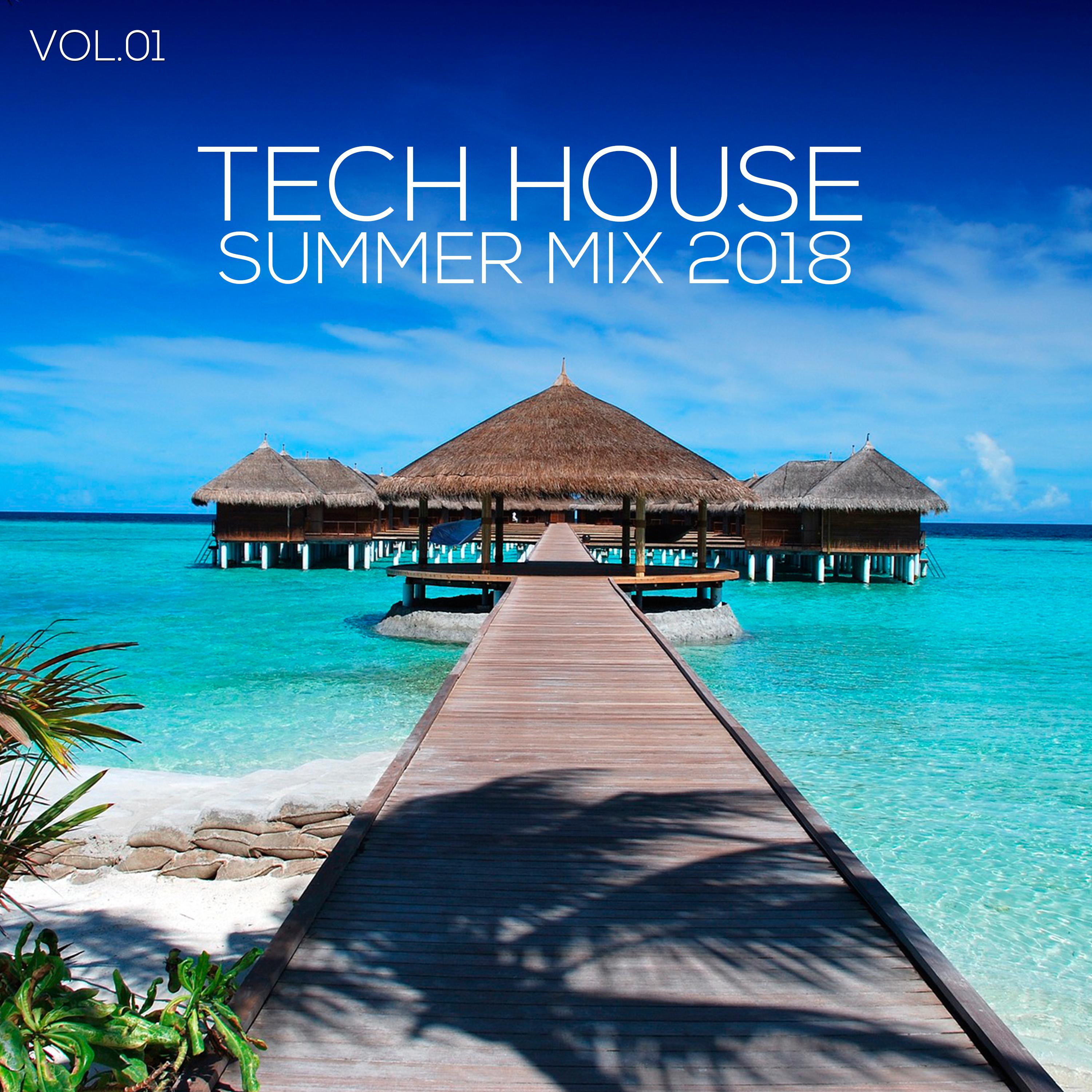 Tech House Summer Mix 2018, Vol. 01