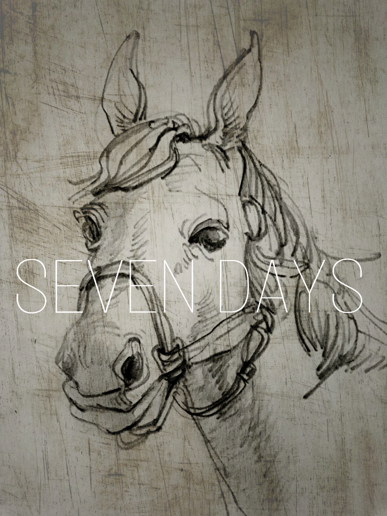 don' t  give  me  a  fake  smile