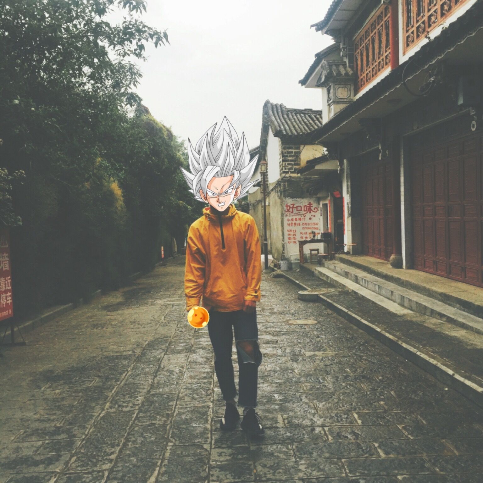 an he qiao Cover song dong ye