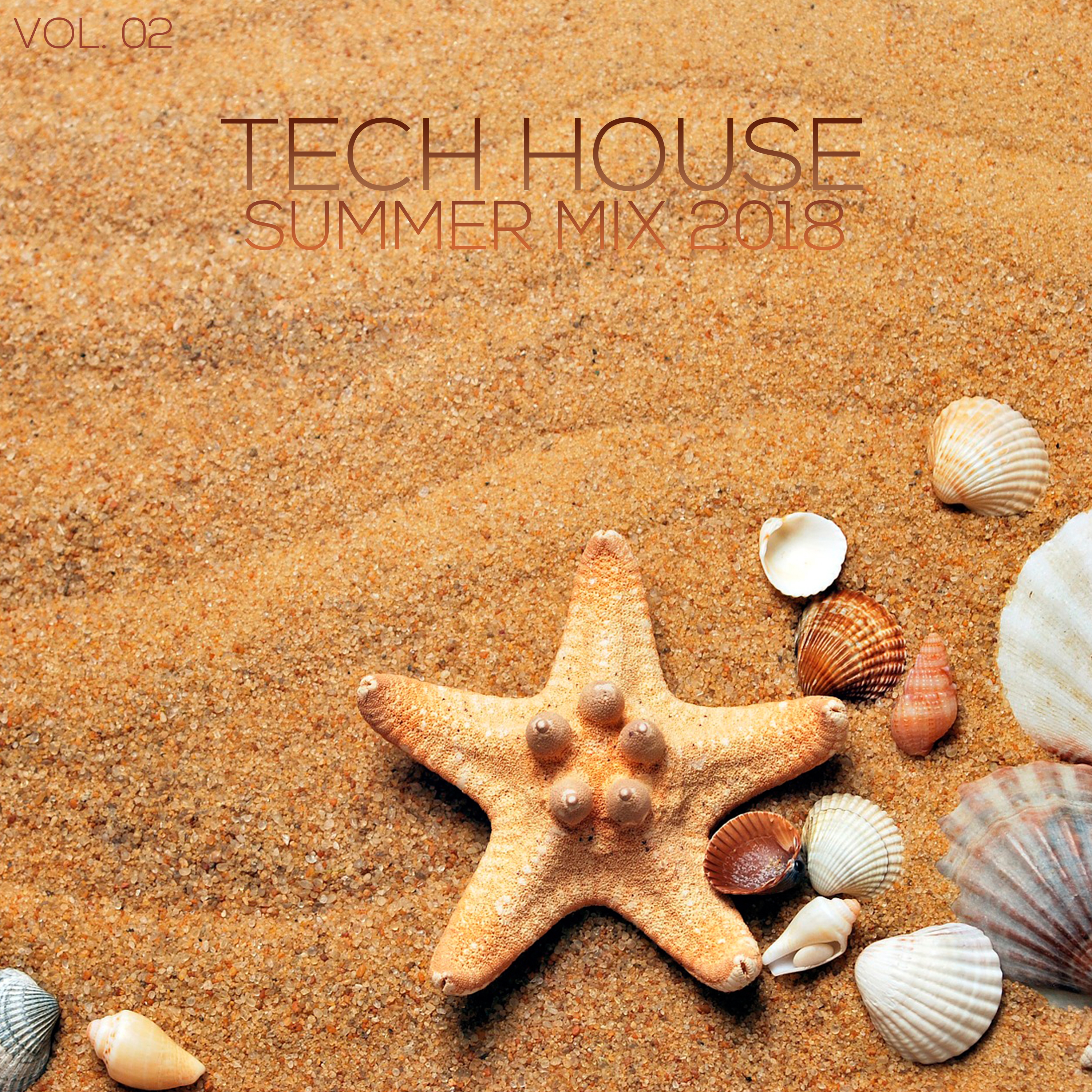 Tech House Summer Mix 2018, Vol. 02 (Mixed by Deep Dreamer) [Continuous DJ Mix]