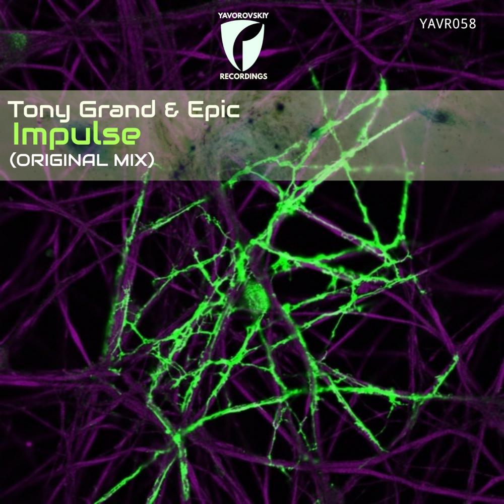 Impulse (Original Mix)